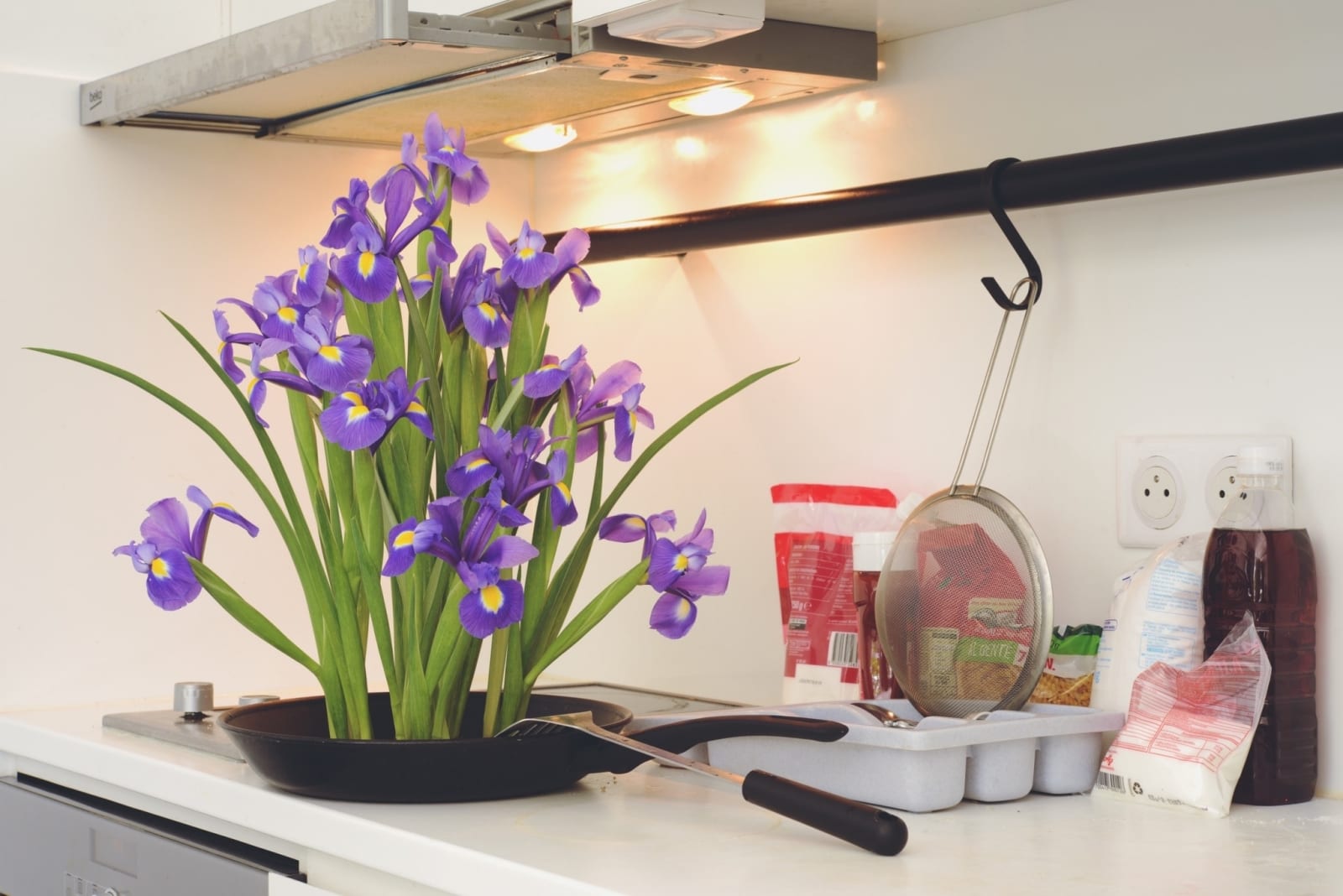 Naraphat Sakarthornsap, Iris, 2022