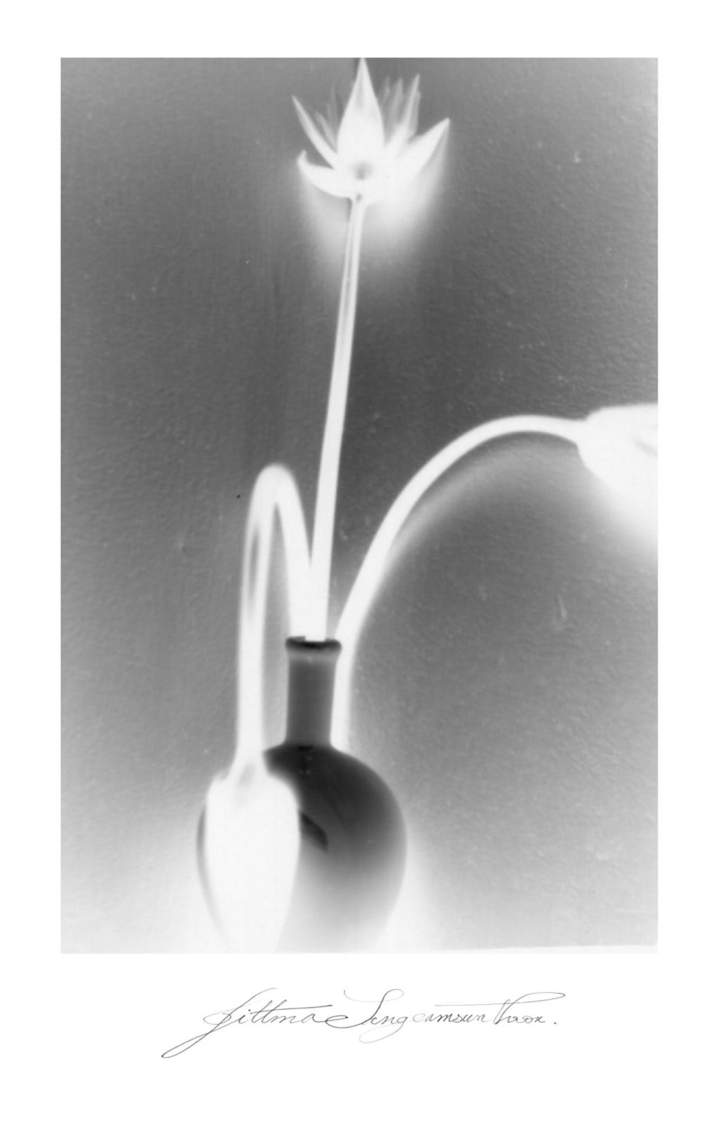 Jittima Sangeamsunthron, Pinhole 02, 1989