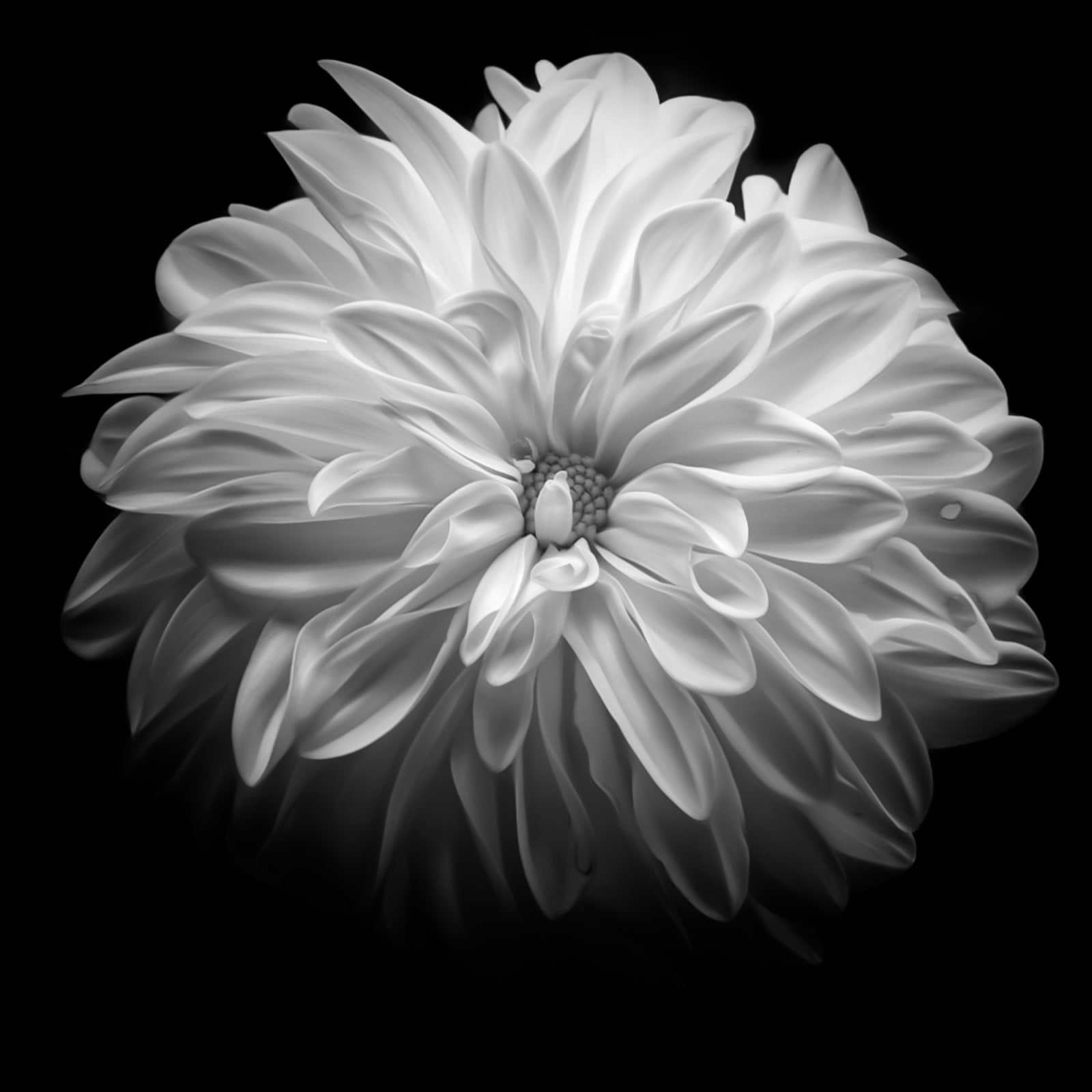 Jittima Sangeamsunthron, Fragance, 2011