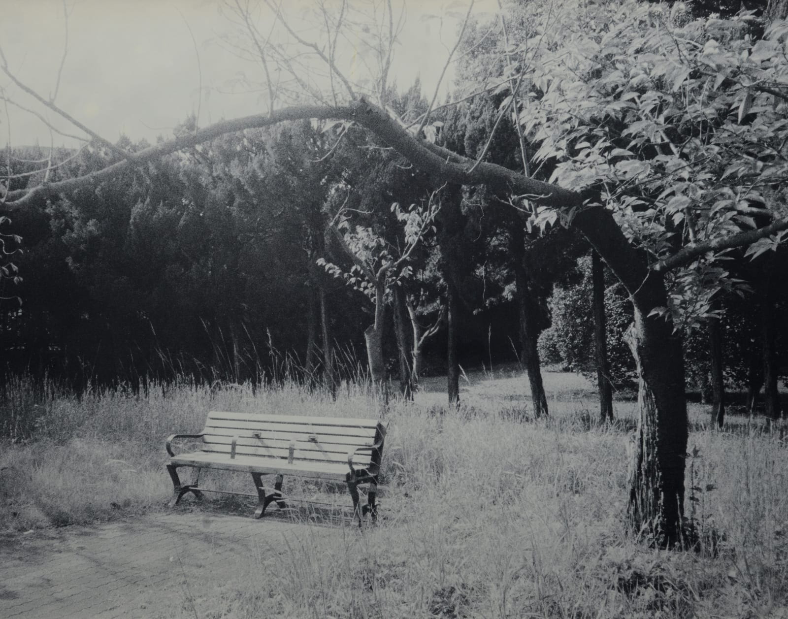 Teo Esguerra, Nowhere Bench, 2025