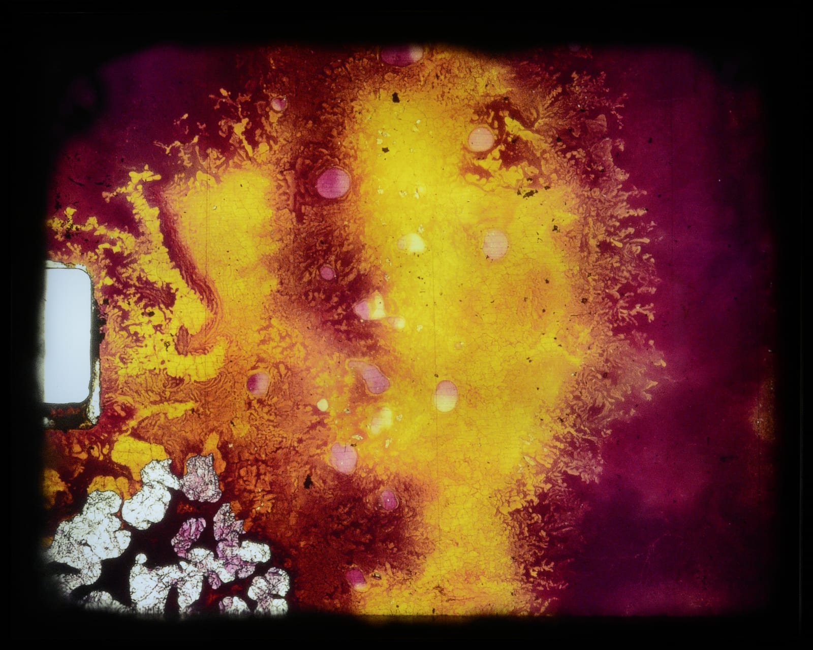 Jules Leaño, frame #33345, 2025