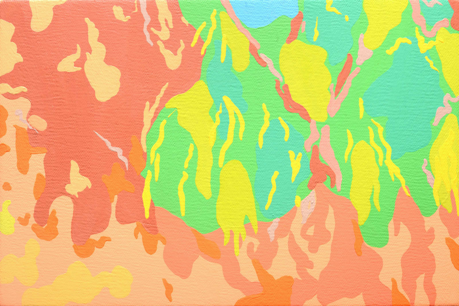 Cholo Cardenas, Shrubs, 2025