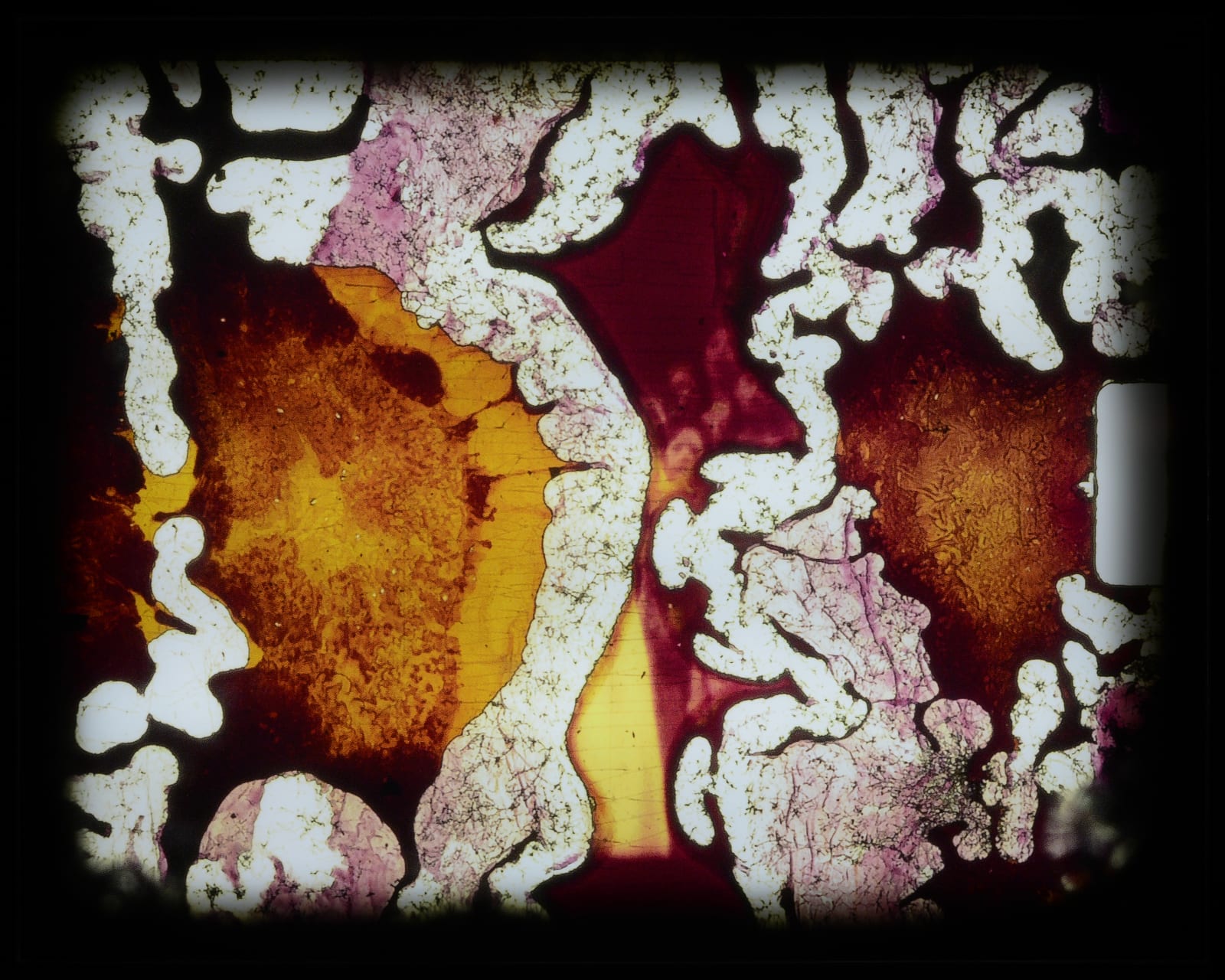 Jules Leaño, frame #8124, 2025