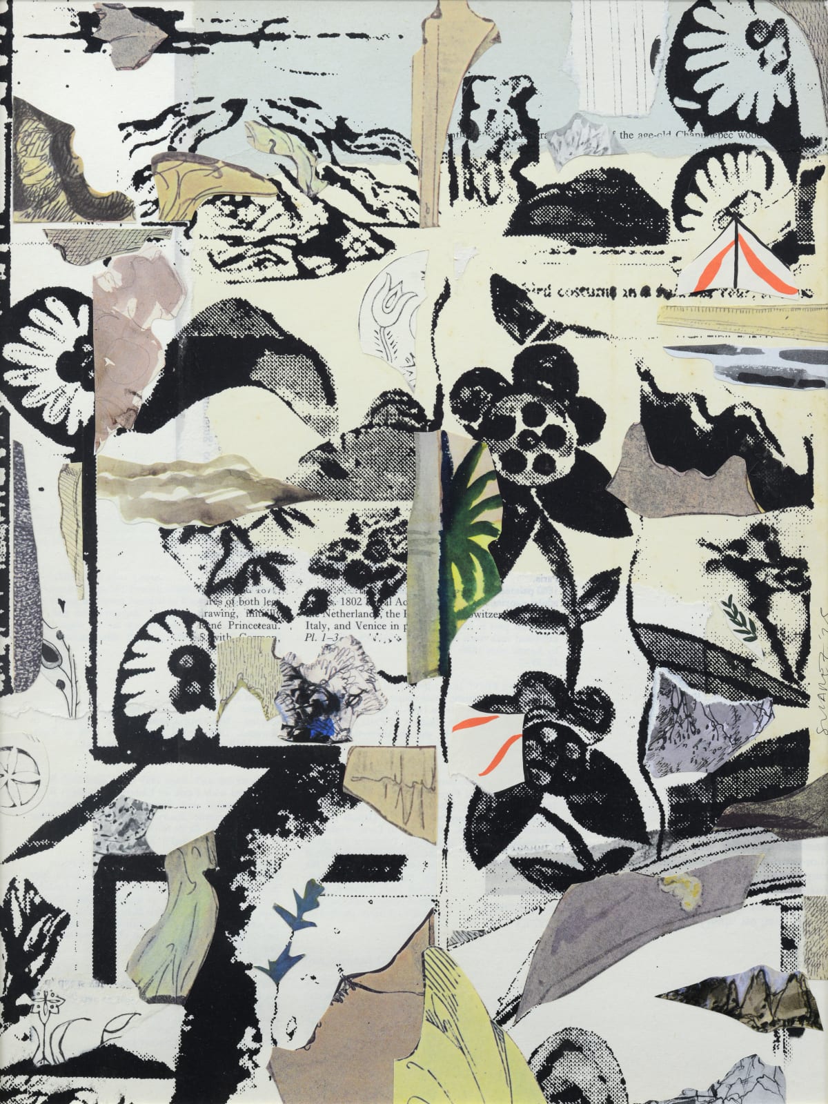 Jel Suarez, what the river took, 2025