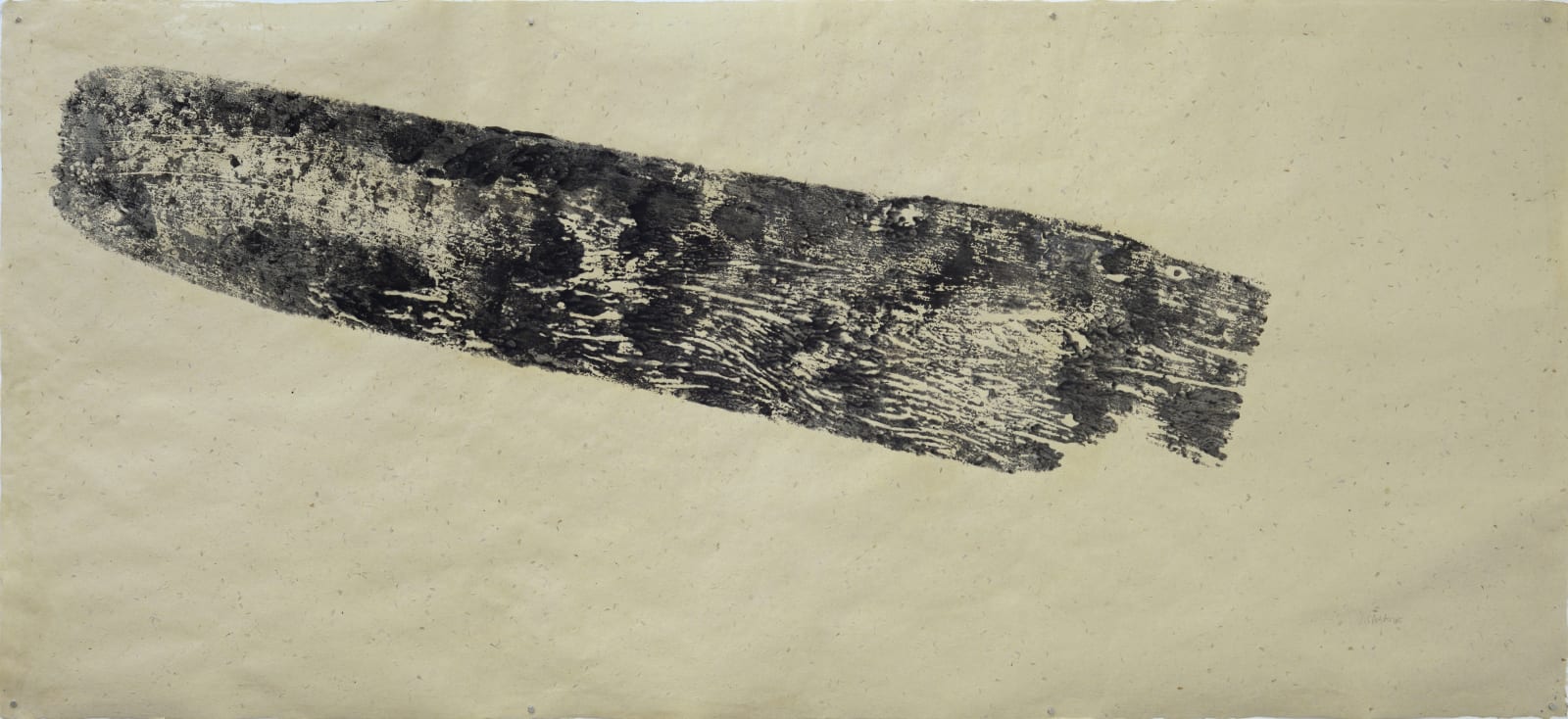 Joey Cobcobo, Matador, 2025