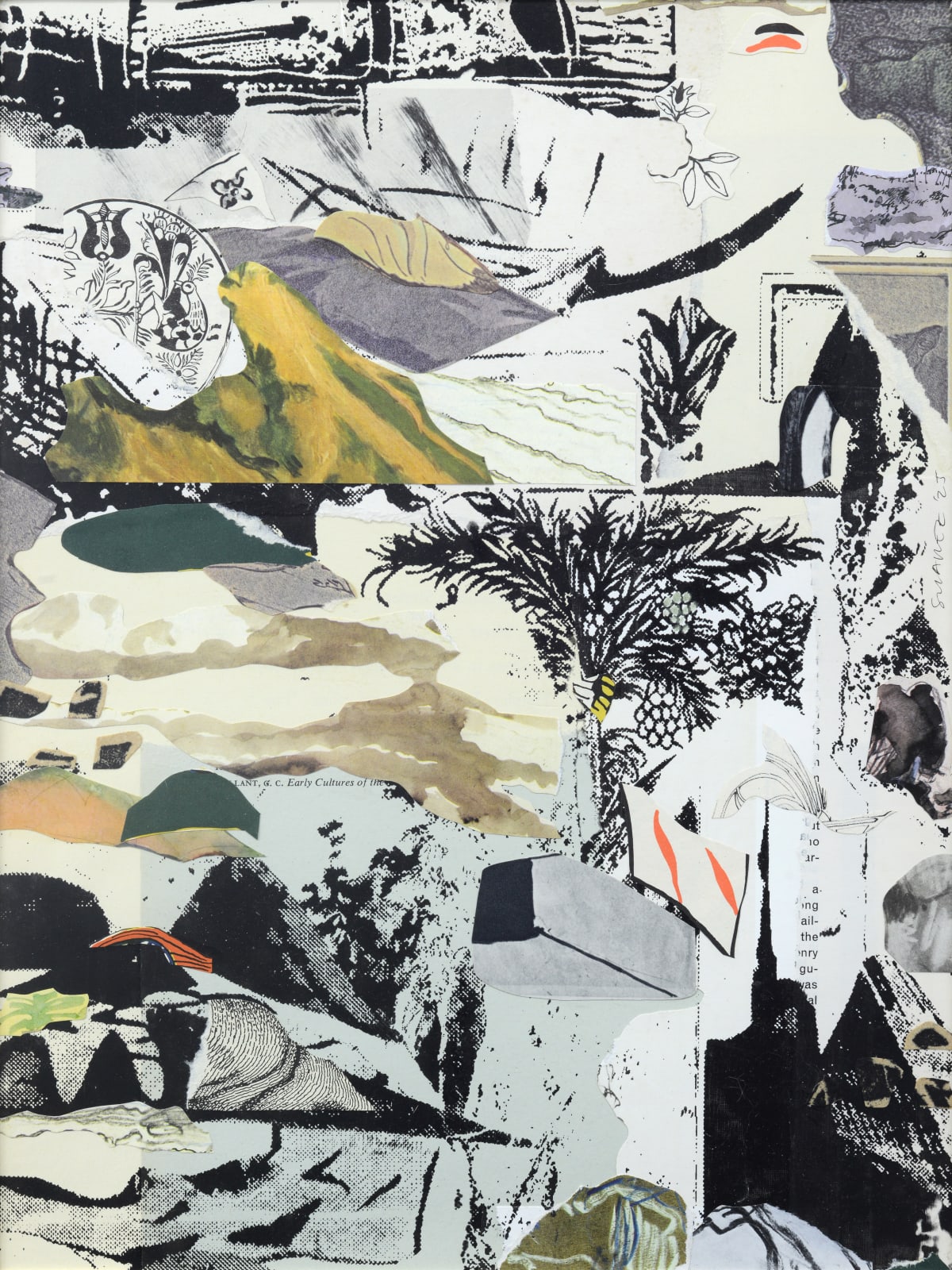 Jel Suarez, rooted in time, 2025