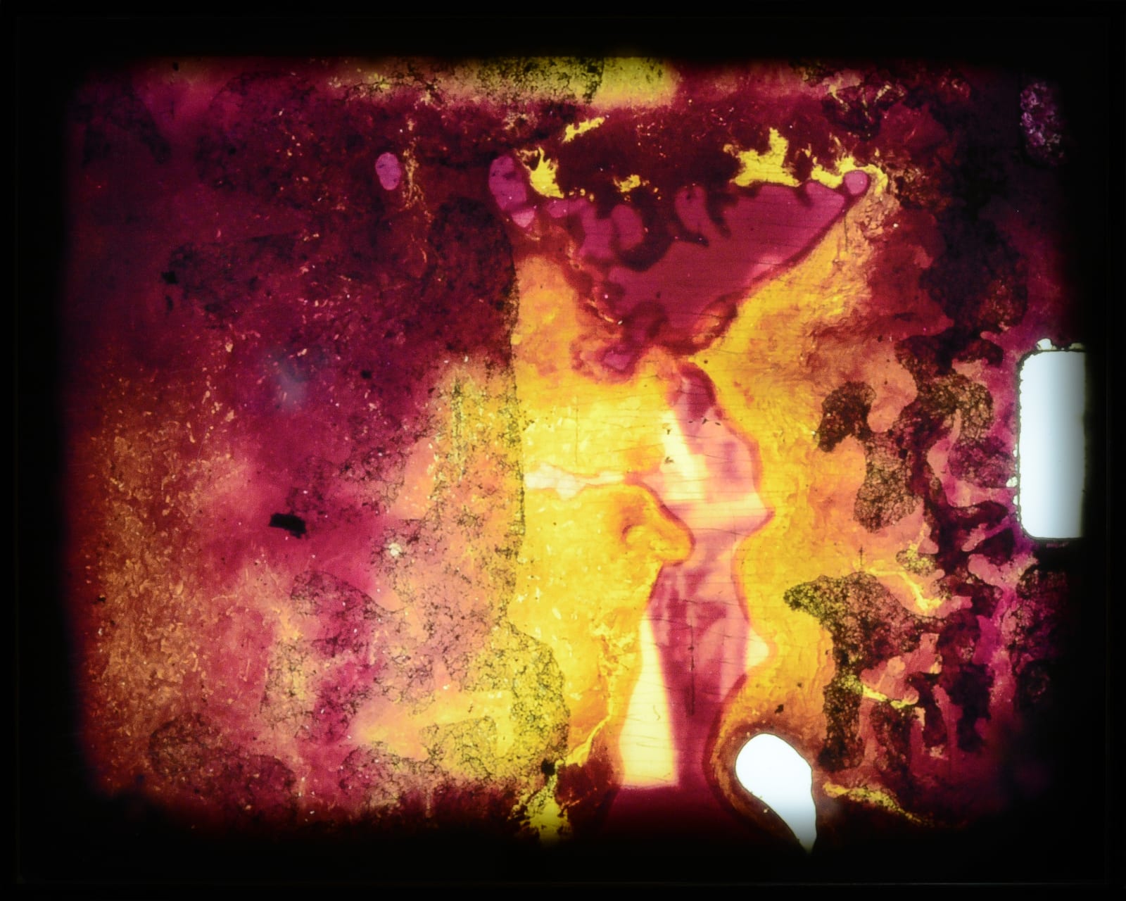 Jules Leaño, frame #10002, 2025