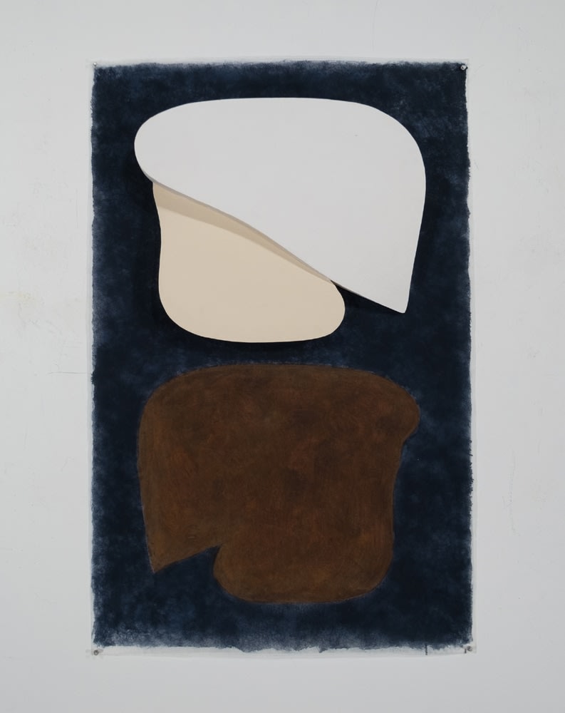 Charles Hinman, Babar Brown, 2001