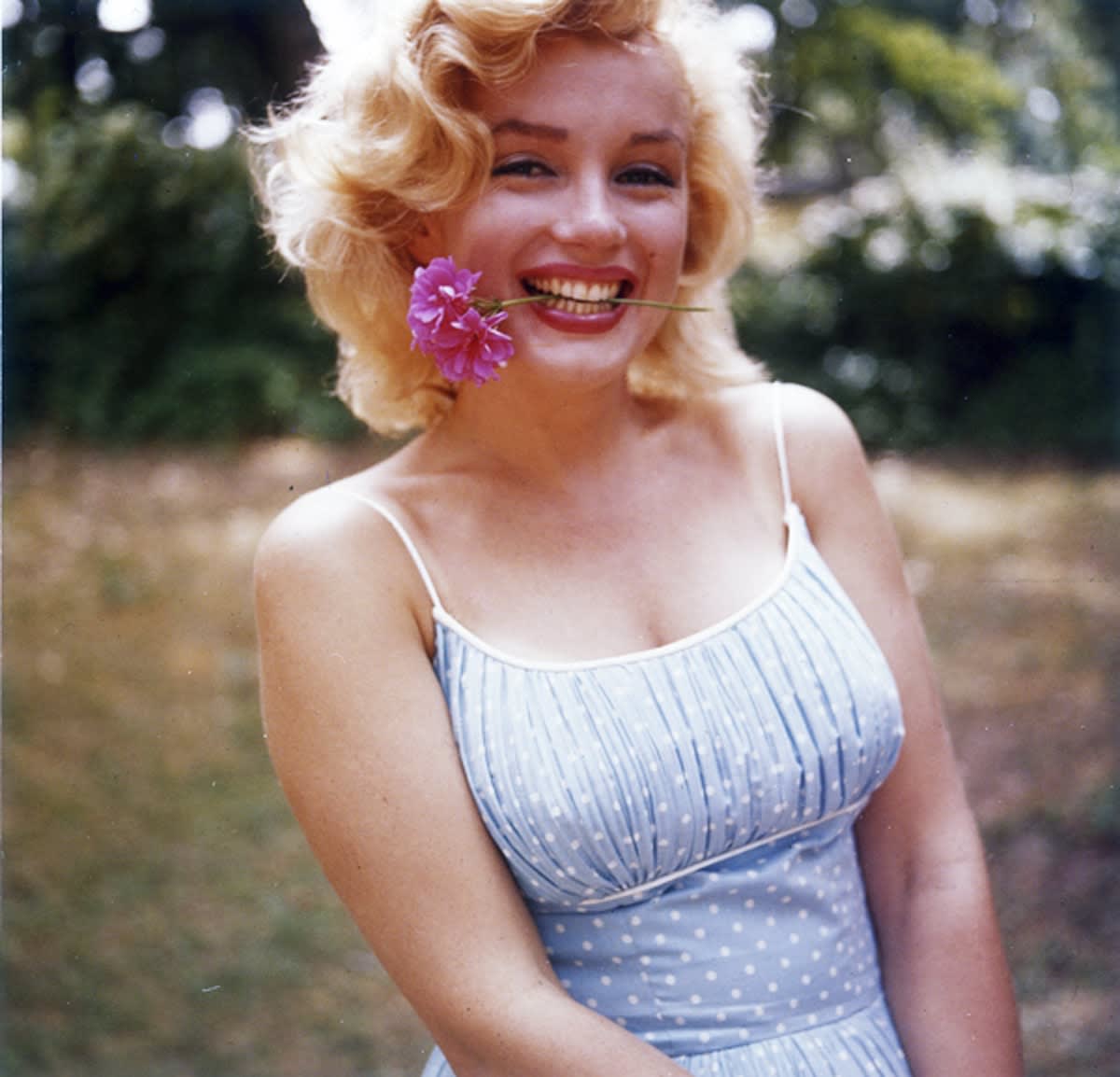 Color photograph of Marilyn Monroe in a grassy yard smiling with a flower stem between her teeth