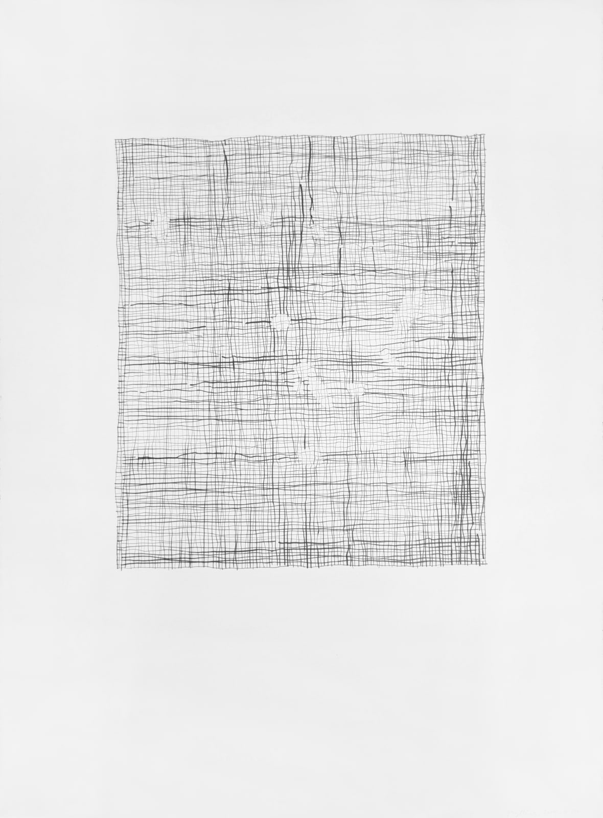 Graphite on paper with gridded lines creating a net-like appearance.