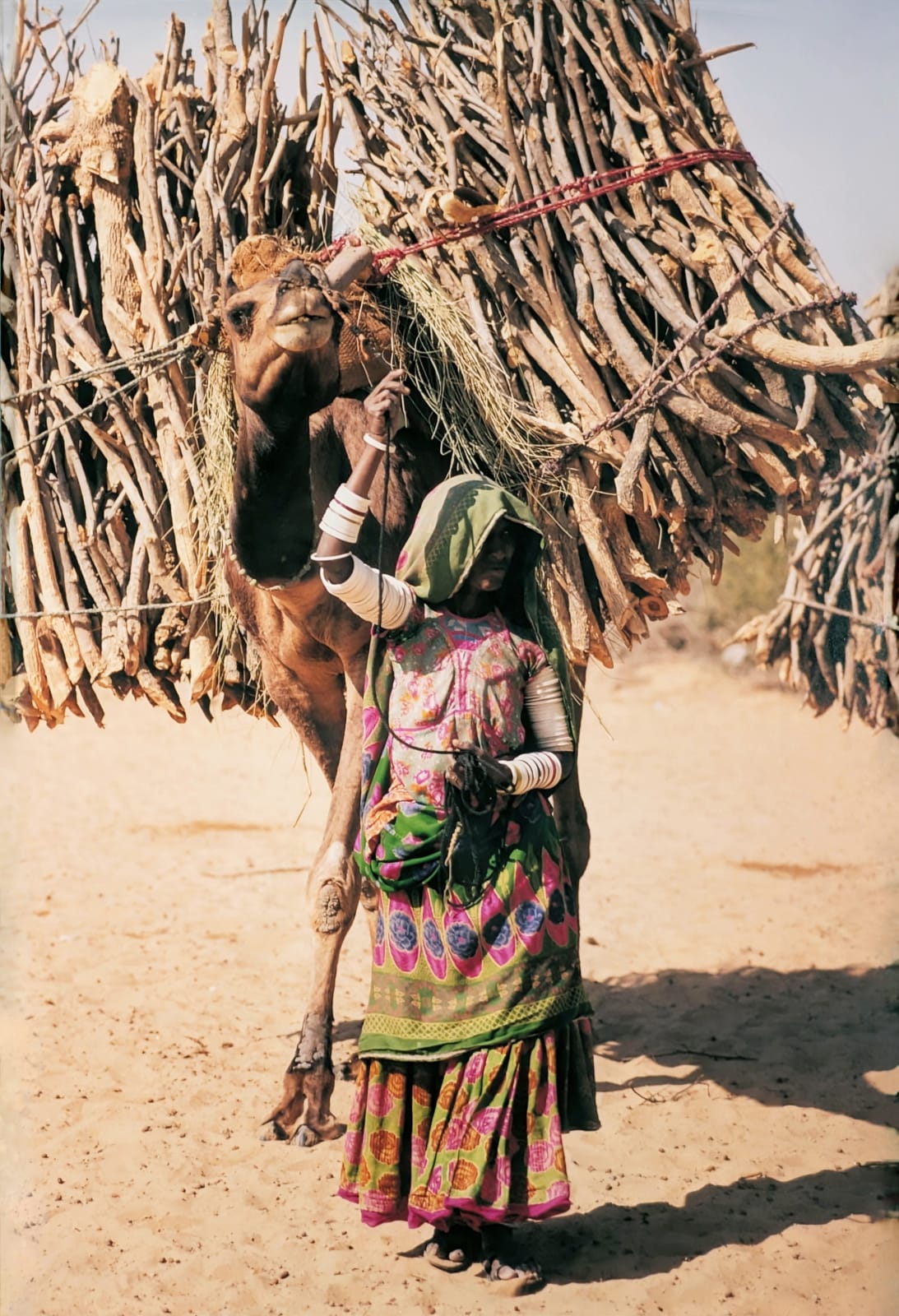 Color photograph of a woman in traditional Sindh attire guiding a camel in front of a large wooden structure