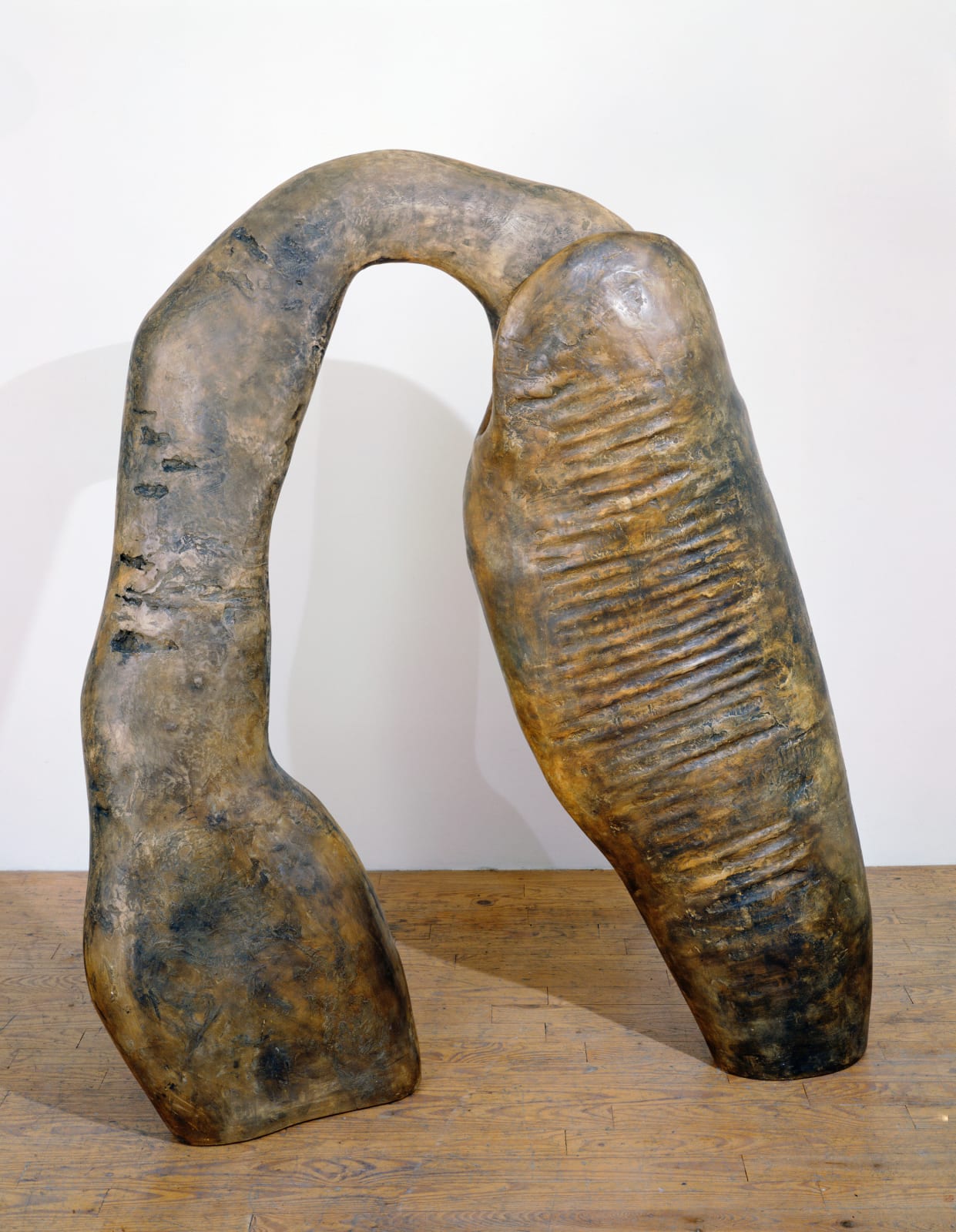 Sculpture of a seed pod made of hydrocal over steel with pigment, wide and curved touching the table from on end to the other