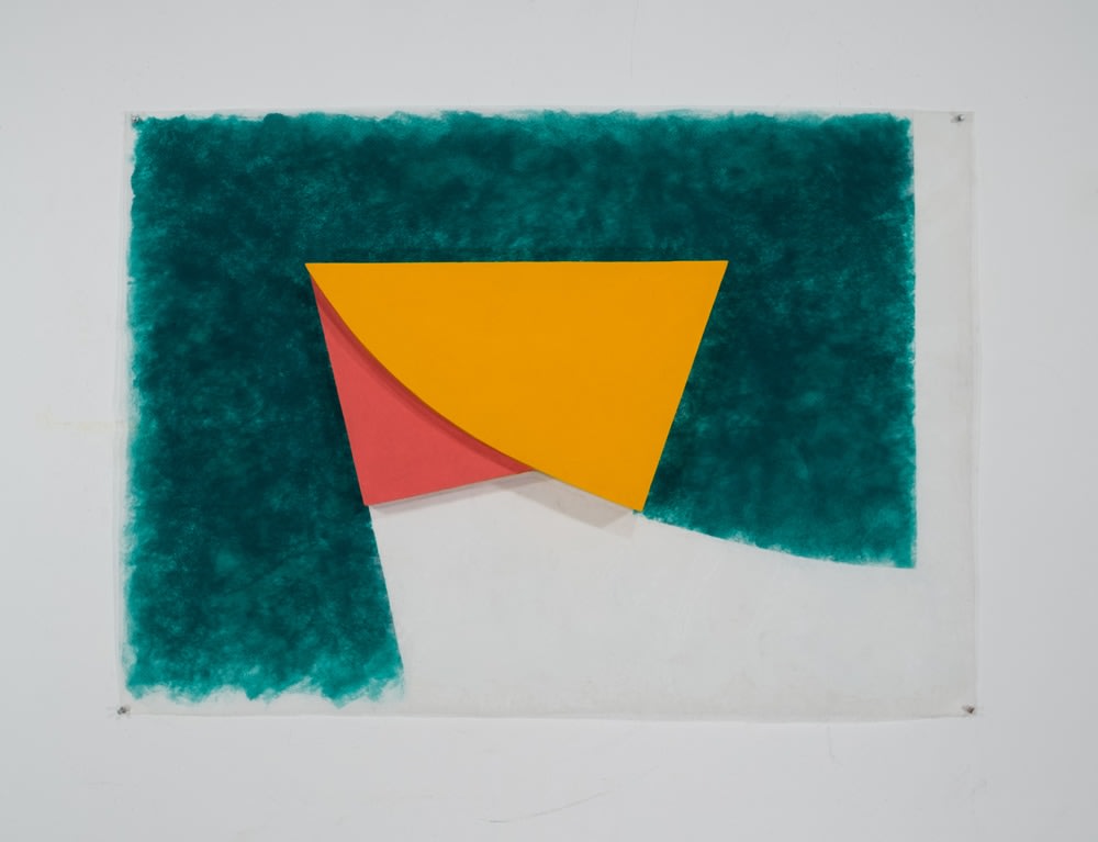 Charles Hinman, Forest, 2000