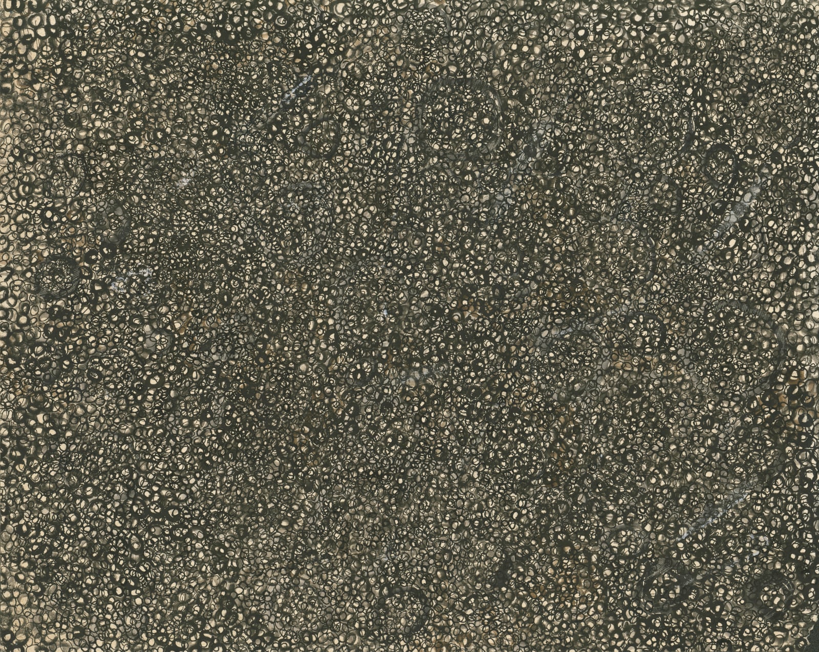 Abstract work on paper consisting of small marks covering the entire visual field