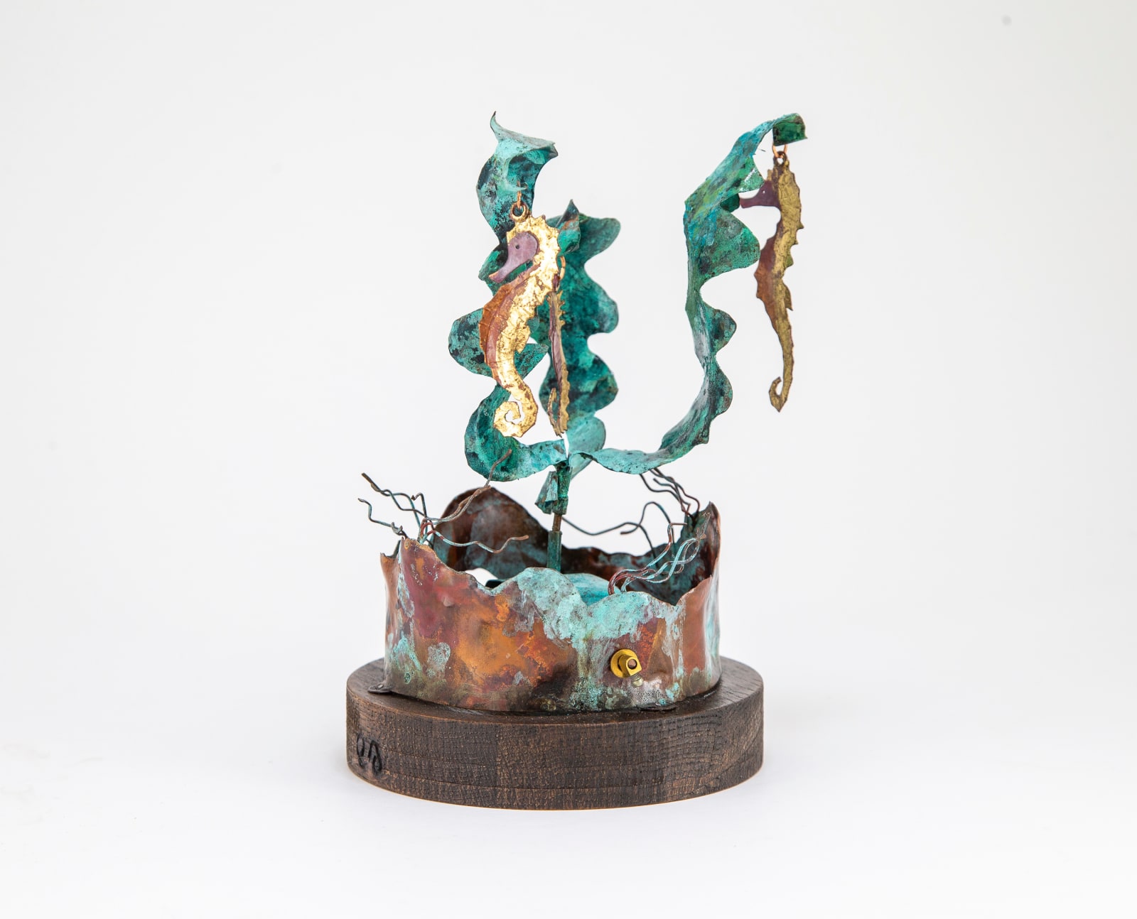 Esther Smith, Seahorses