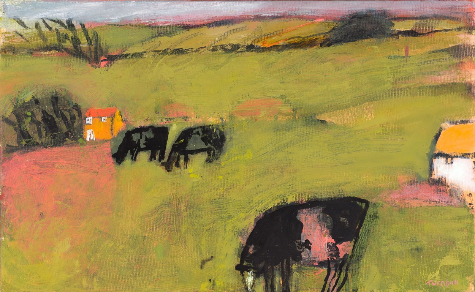 Elaine Turnbull, Summer Pastures, West Penwith