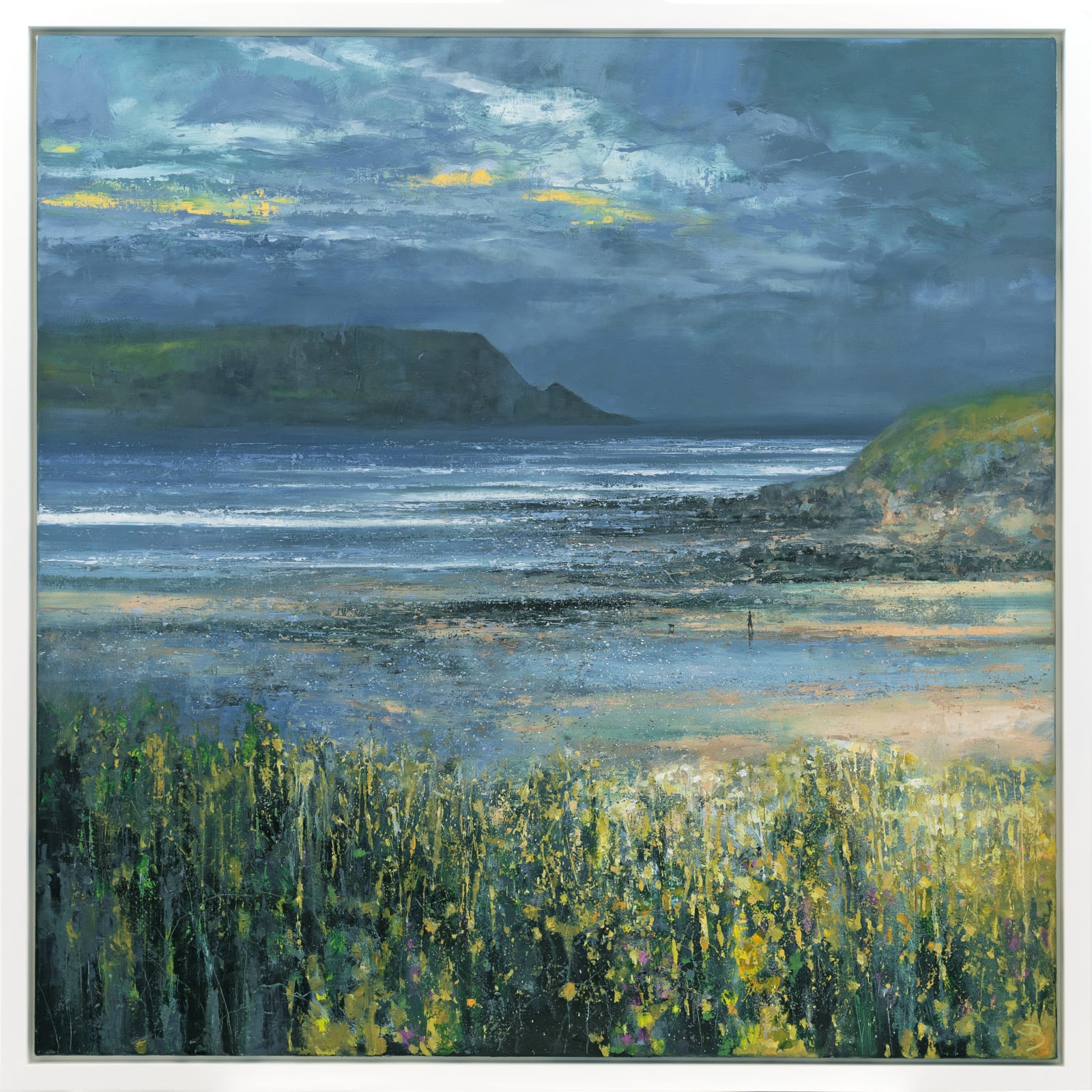 John Brenton, Dog Walker at Daymer Bay