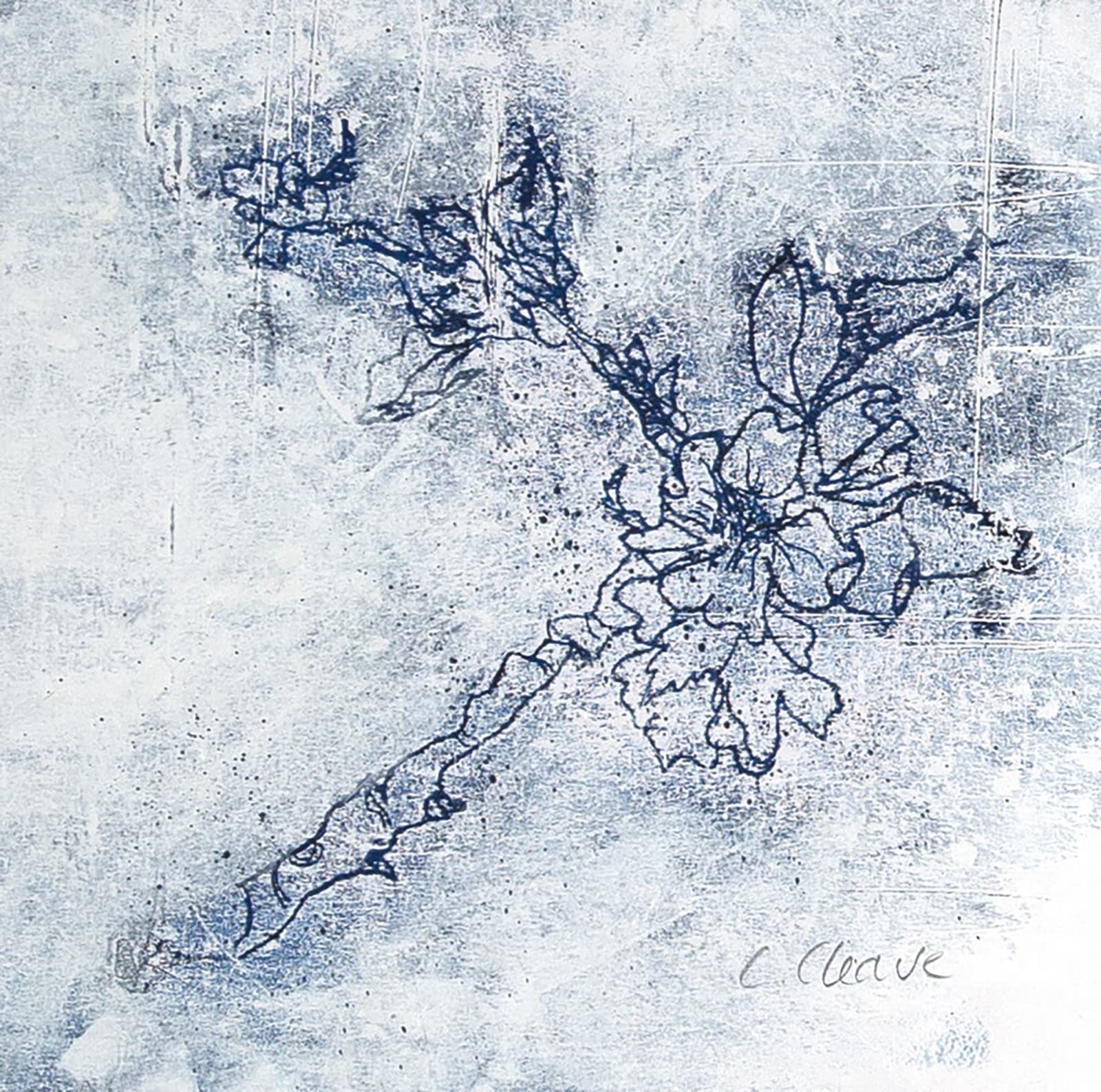 Caroline Cleave, Blossom Study I