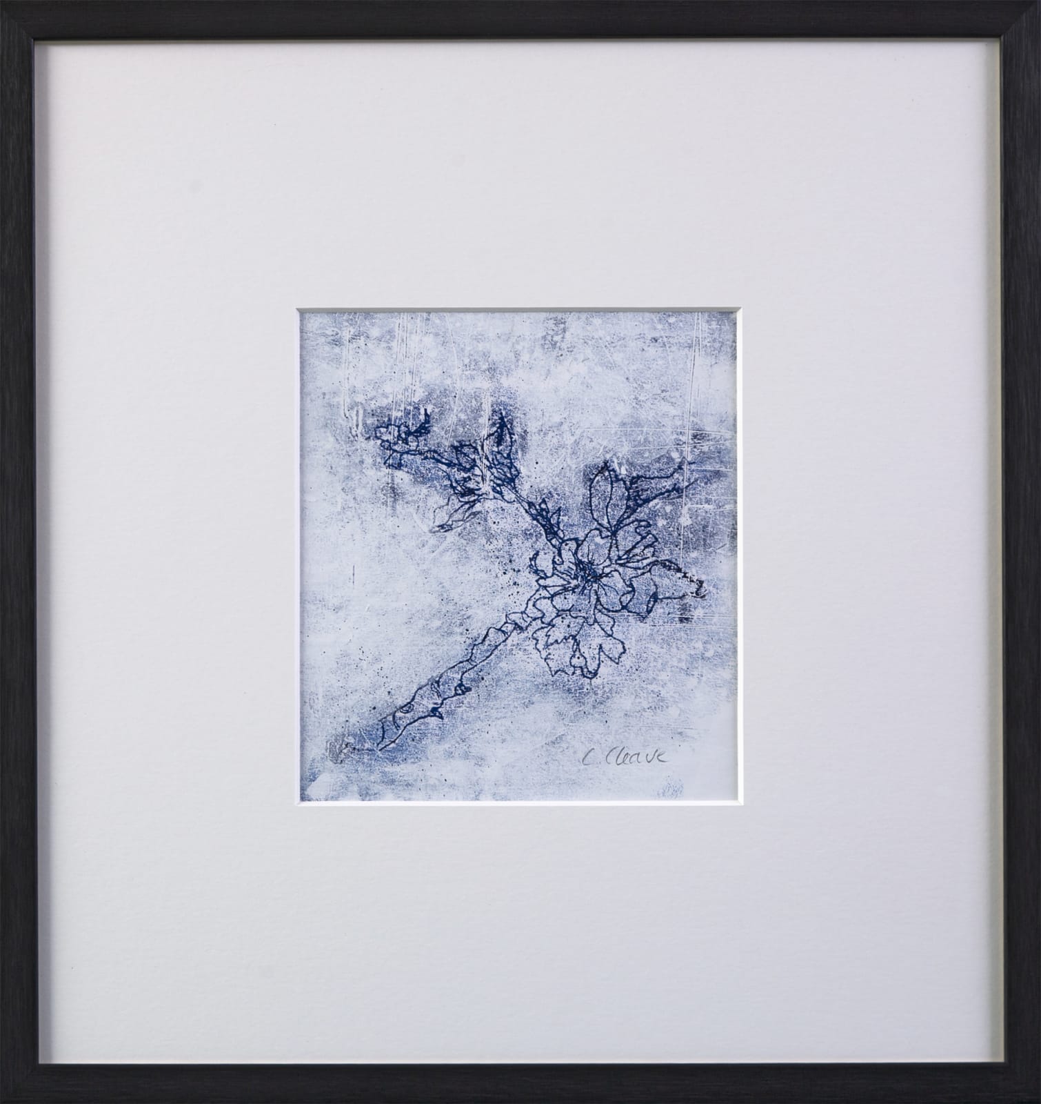 Caroline Cleave, Blossom Study I