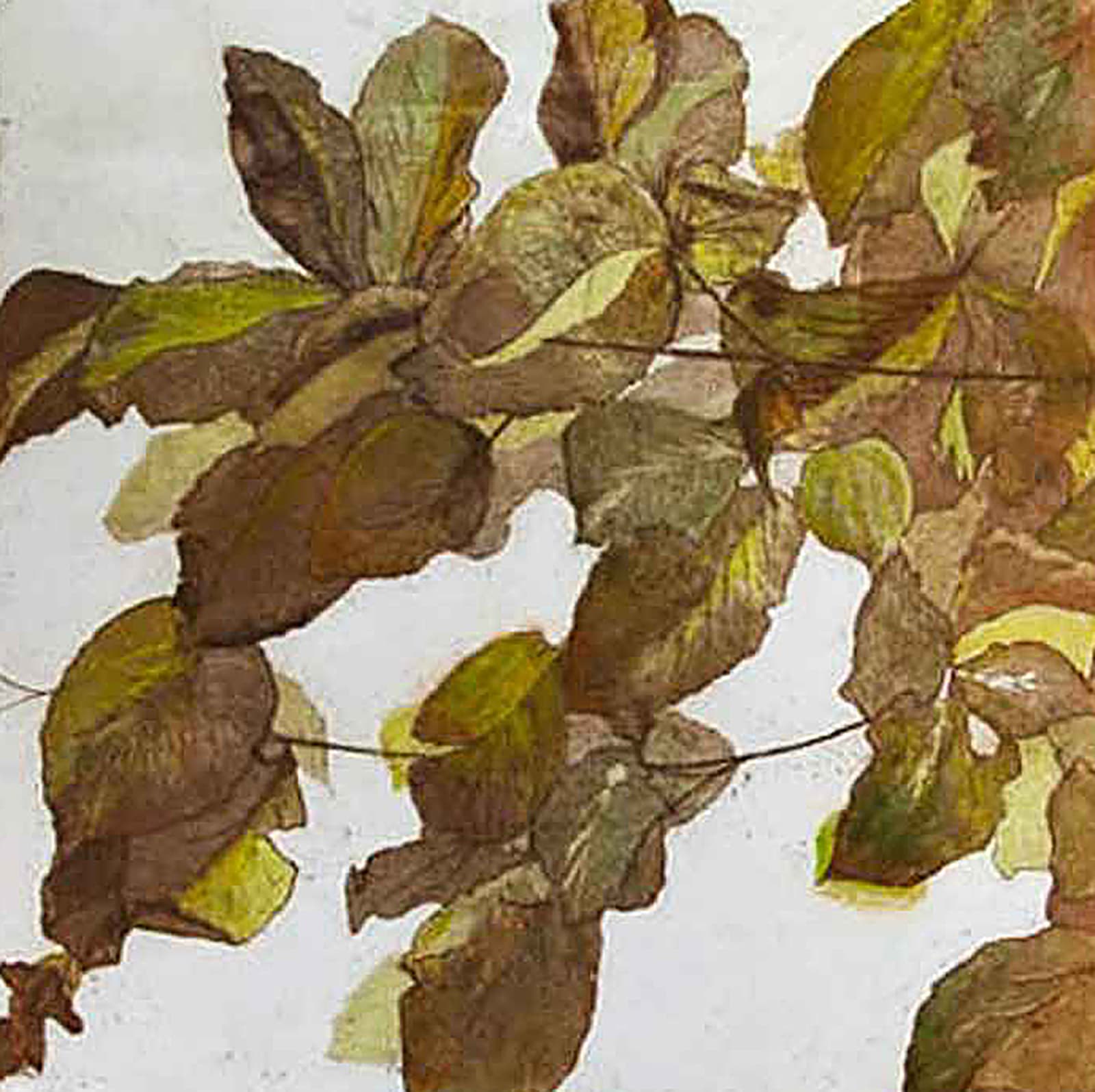 Sarah Seddon, Autumn Leaves