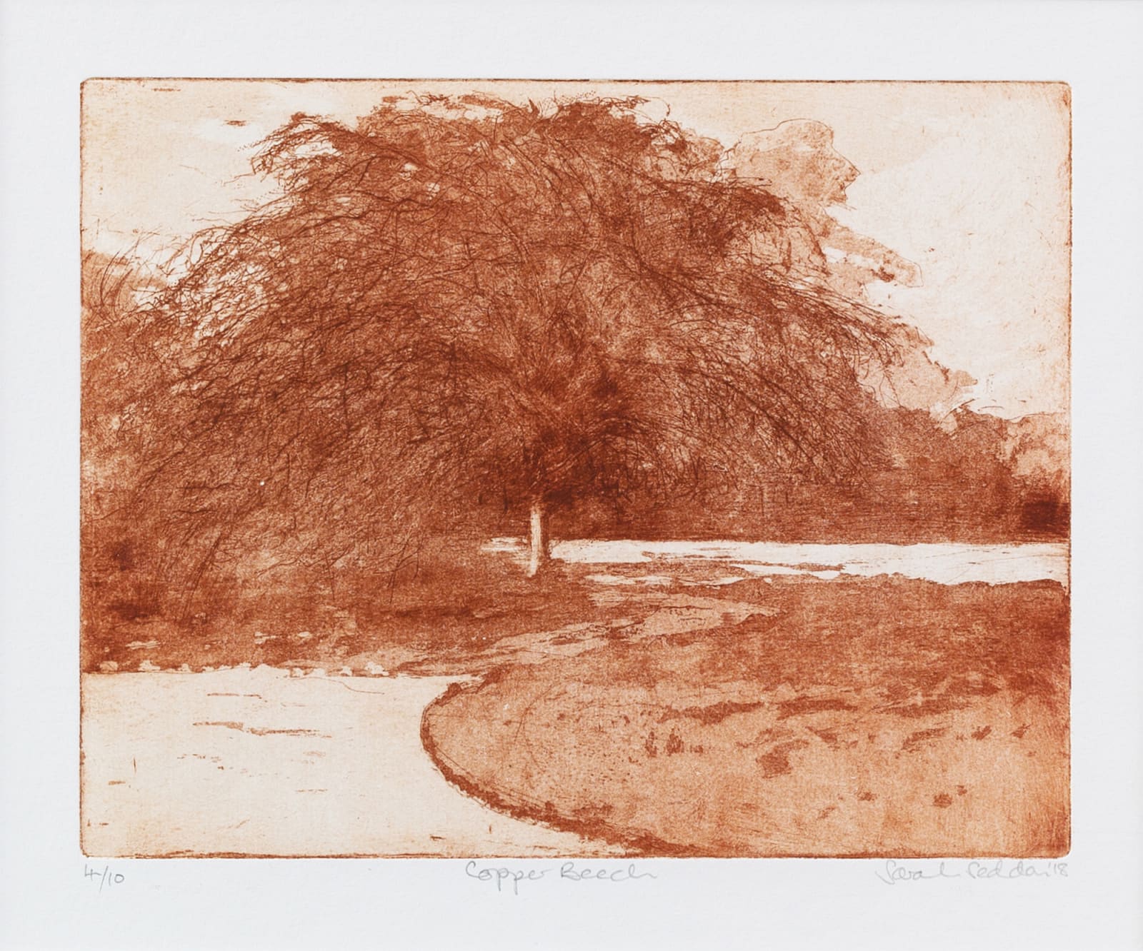 Sarah Seddon, Copper Beech