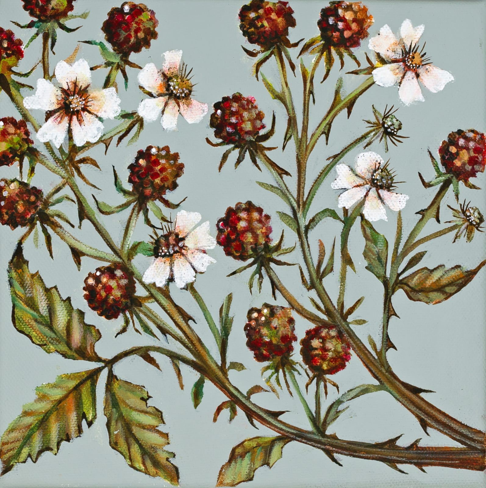 Caroline Cleave, Blackberries II