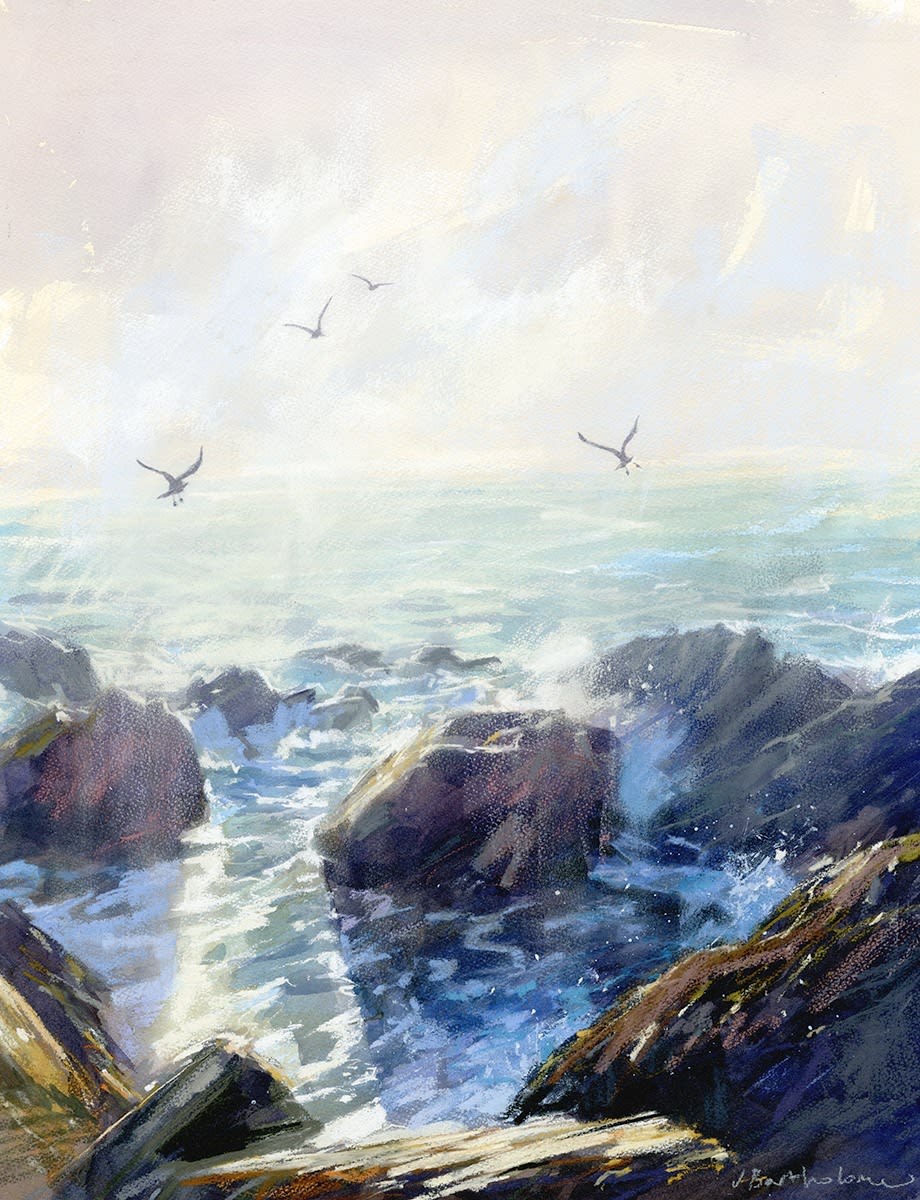 James Bartholomew, Gulls at Sunset