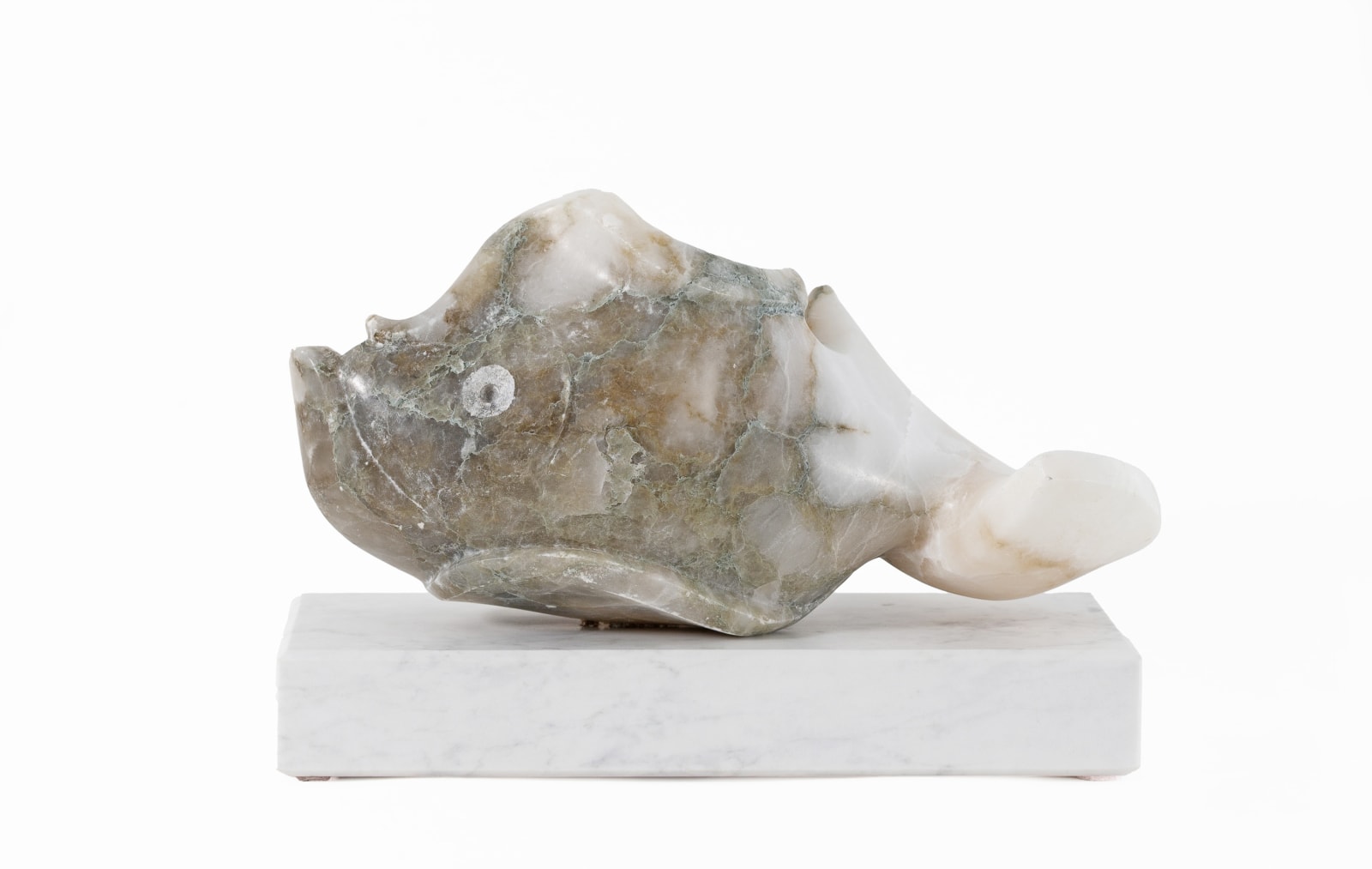 Richard Holliday, Fish