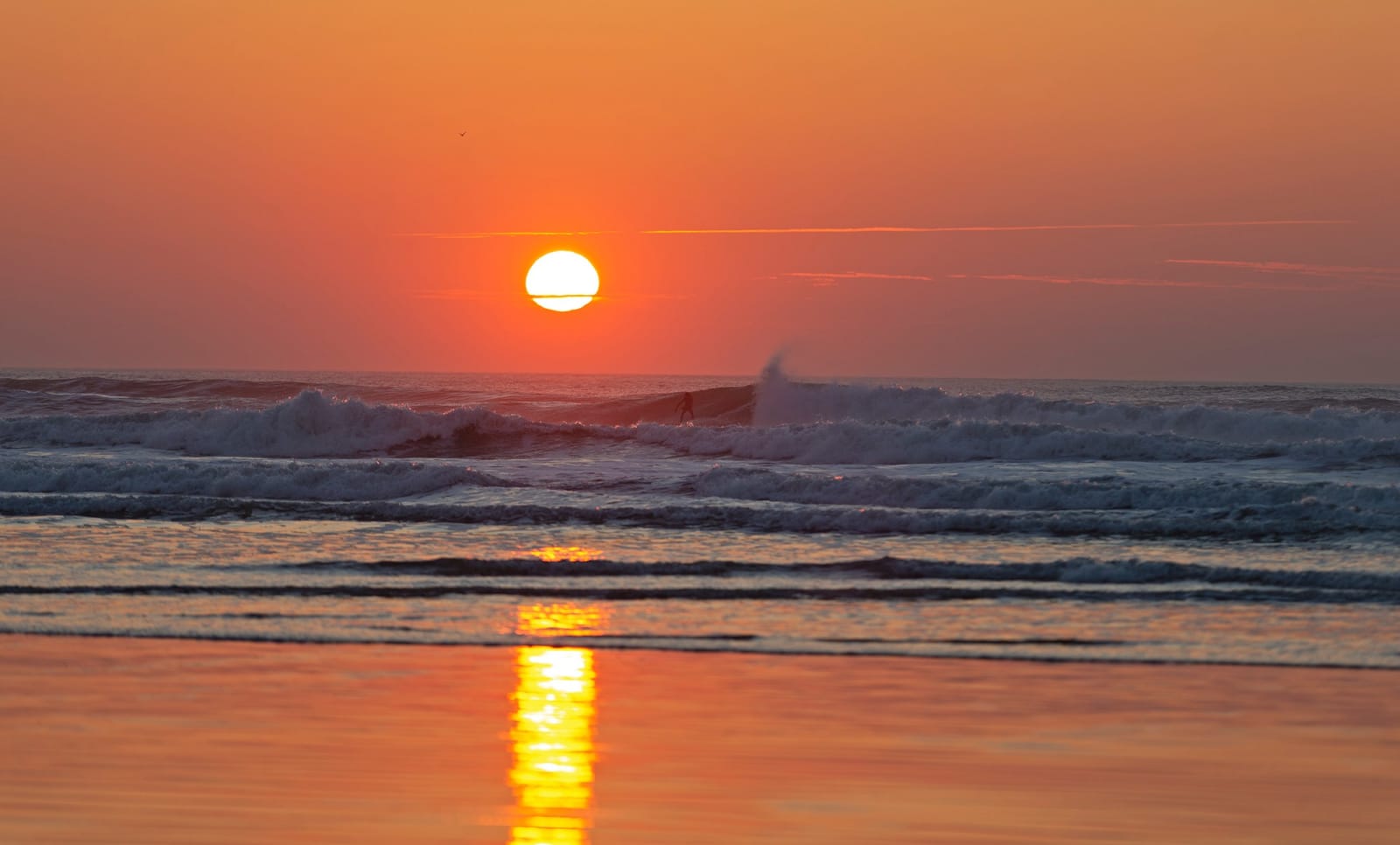 Nick Wapshott, Sunset Surfer