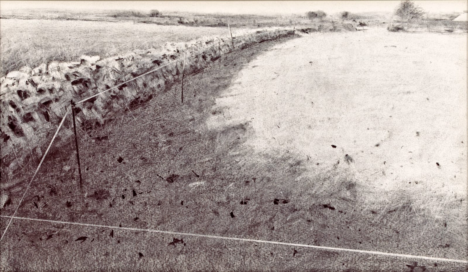 Andrew Barrowman, Cornish Hedge & Fence Tape