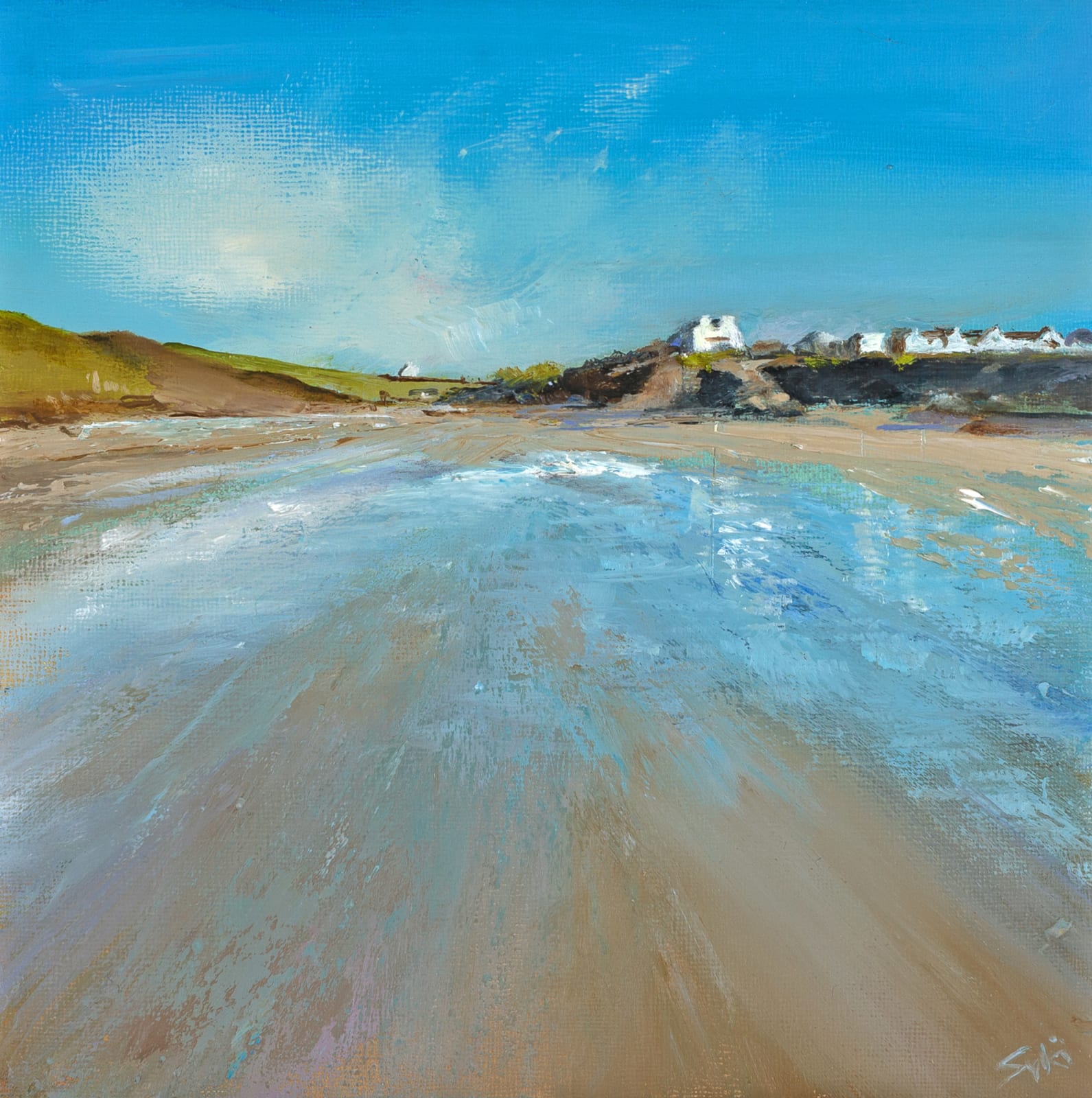 Suki Wapshott, Low Tide Medla, Baby Bay