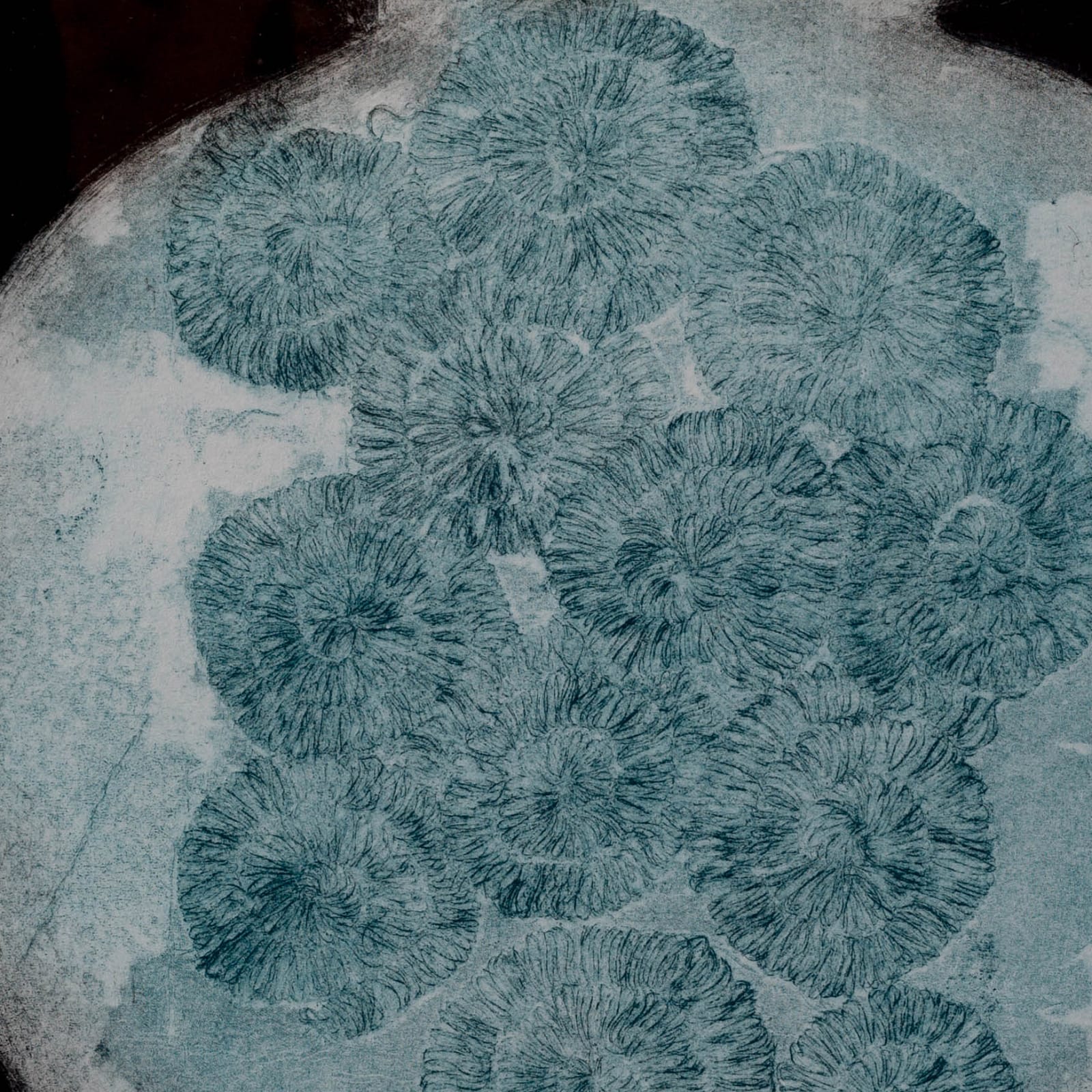 Sally Spens, Revisited II