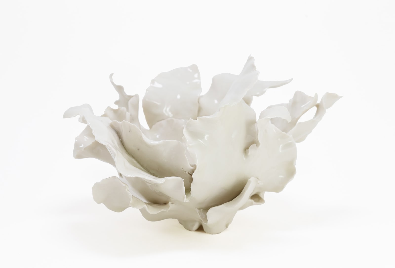 Melanie Legge, Sea Kelp I