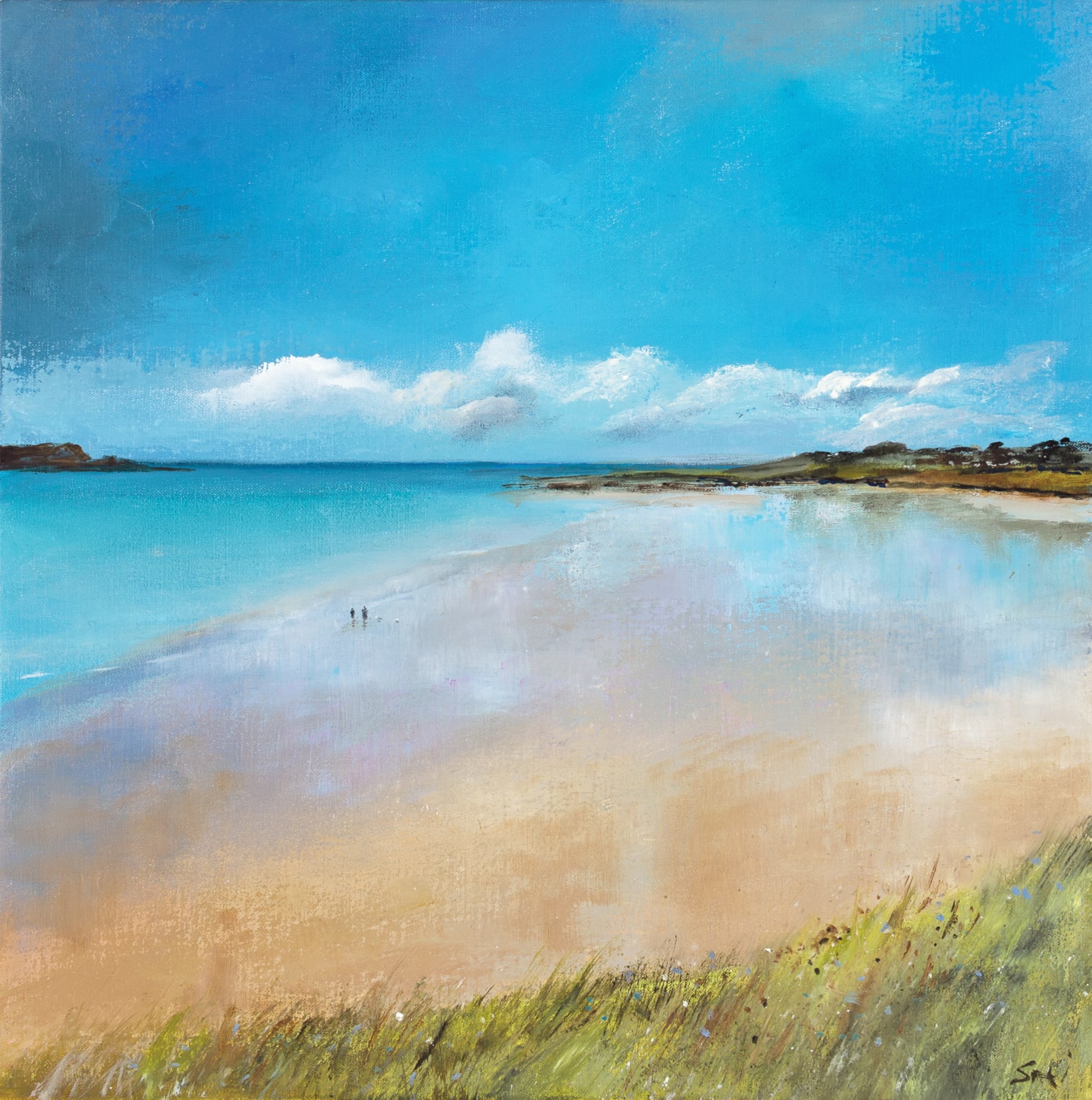 Suki Wapshott, Across Daymer Bay