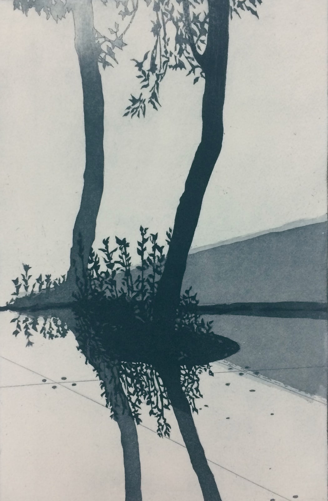 Sally Spens, Biennale Shadows II