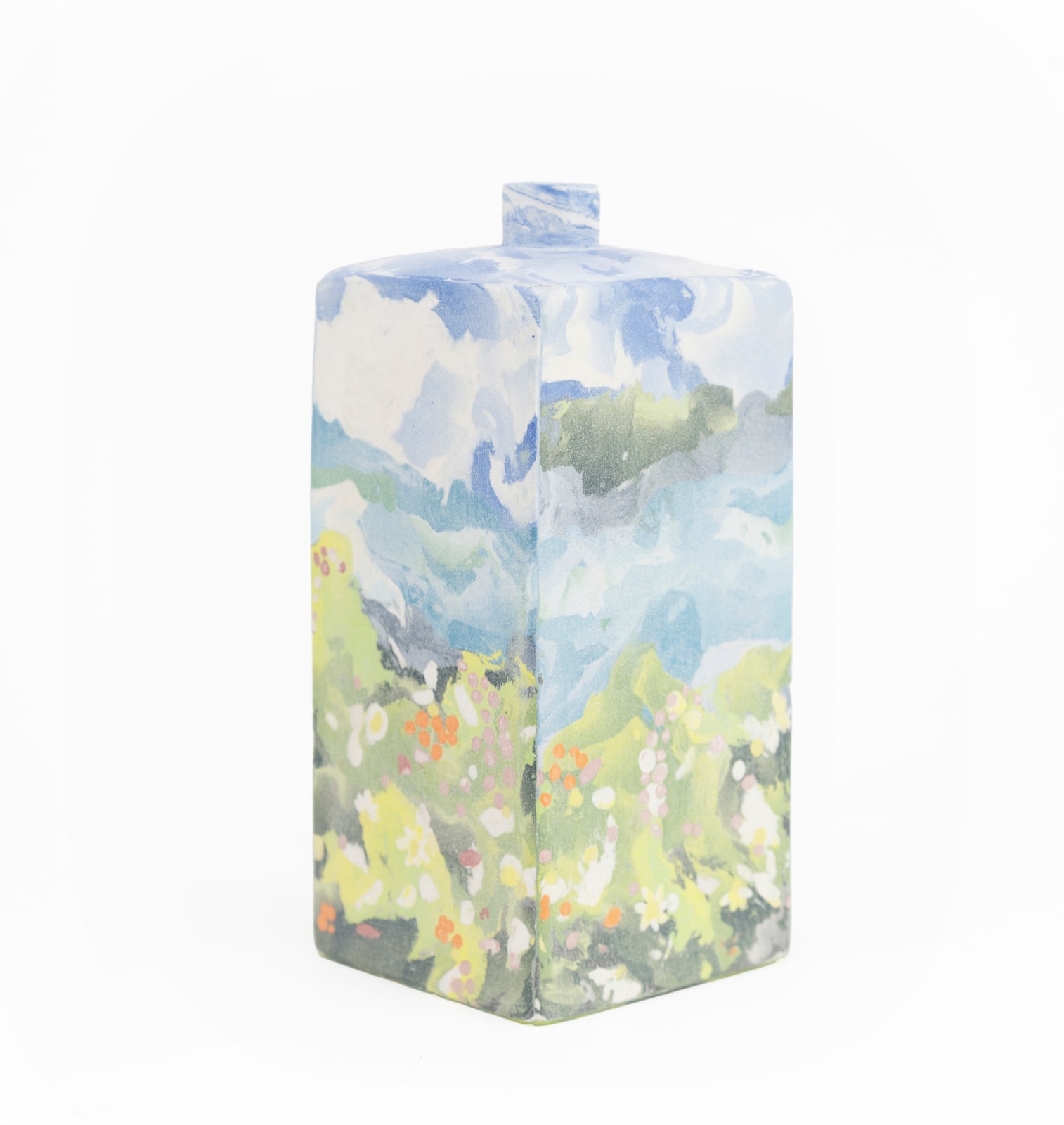 Judy McKenzie, Clouds with Blossom I