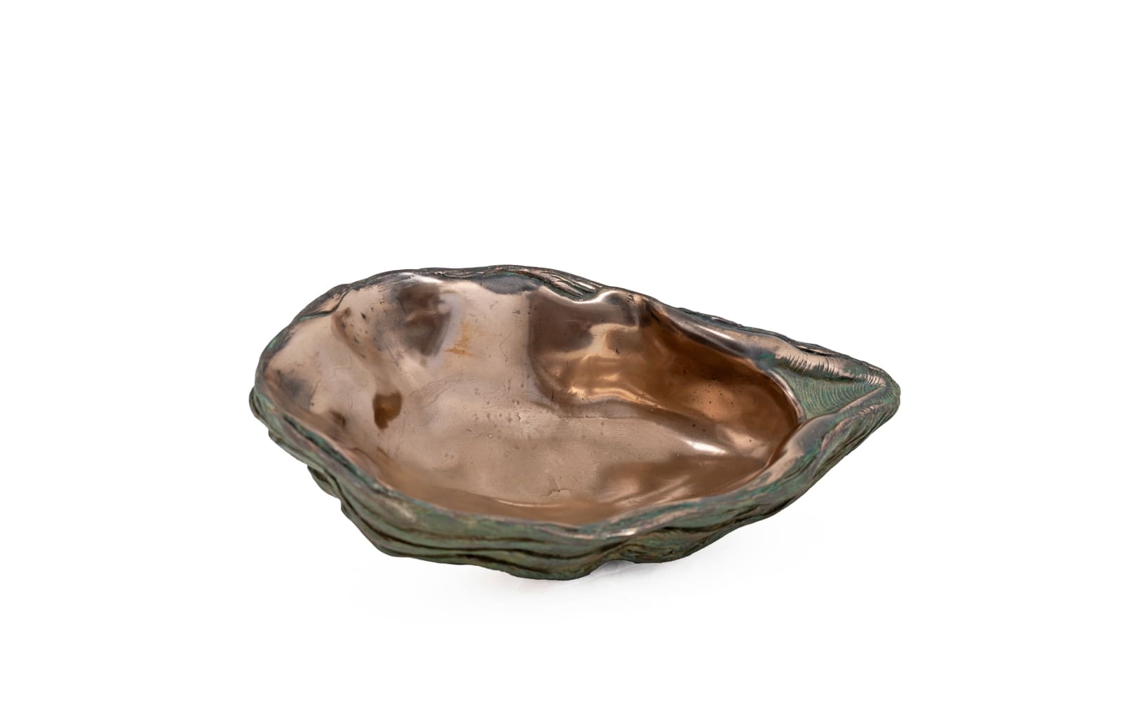 Sara Ross, Medium Oyster