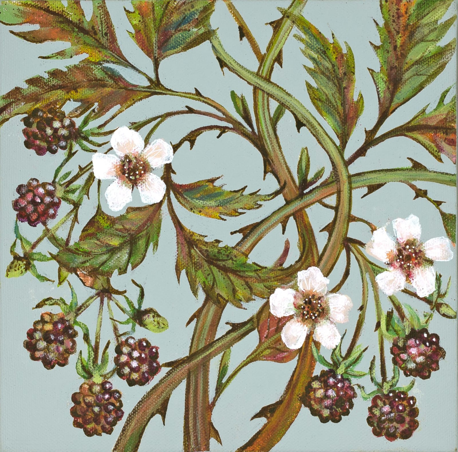 Caroline Cleave, Blackberries I