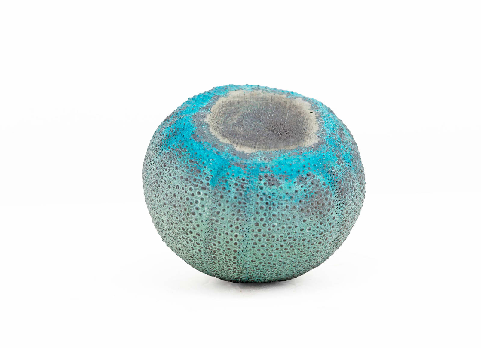 Sara Ross, Sea Urchin