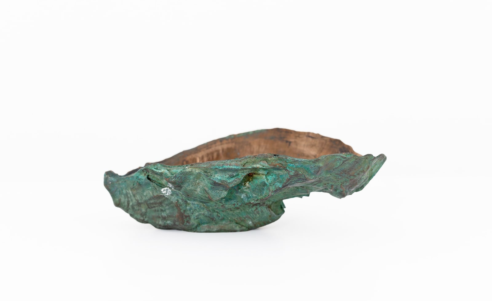 Sara Ross, Oyster Bud I