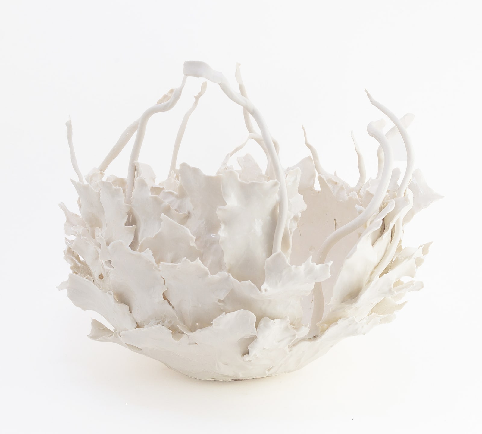 Melanie Legge, Sea Grace