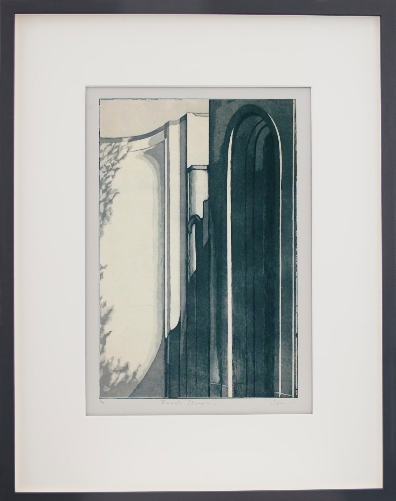 Sally Spens, Biennale Shadows III