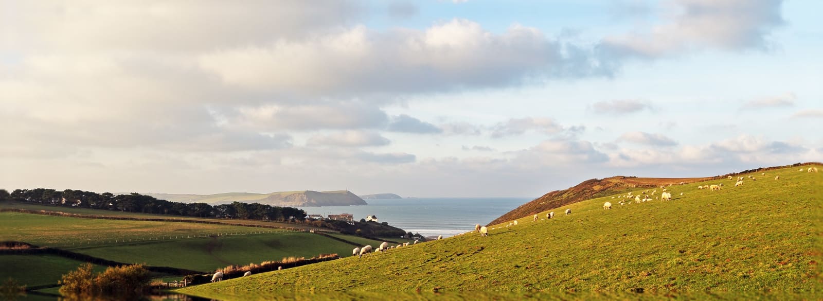 Nick Wapshott, Headlands
