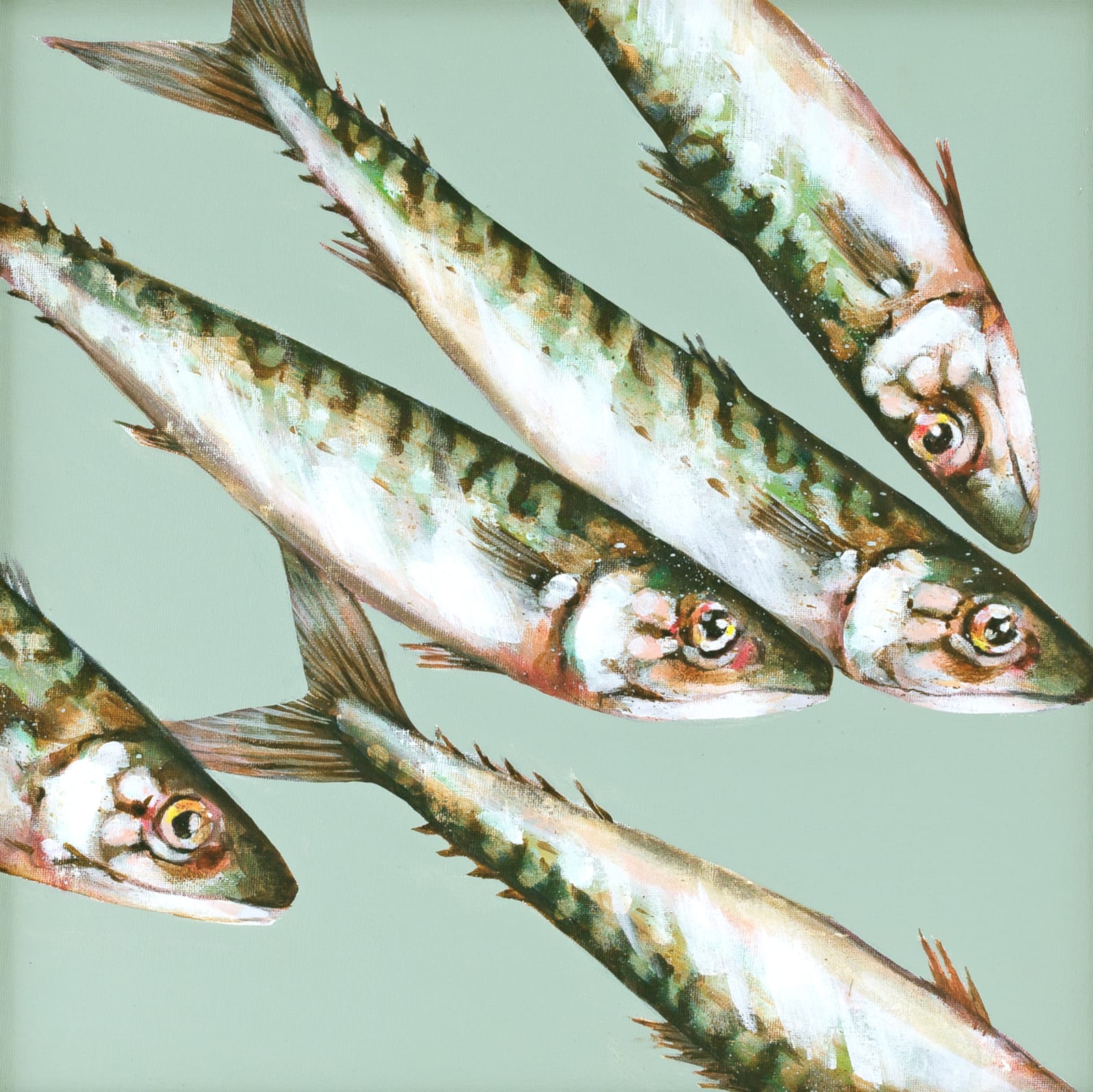 Caroline Cleave, Shoal