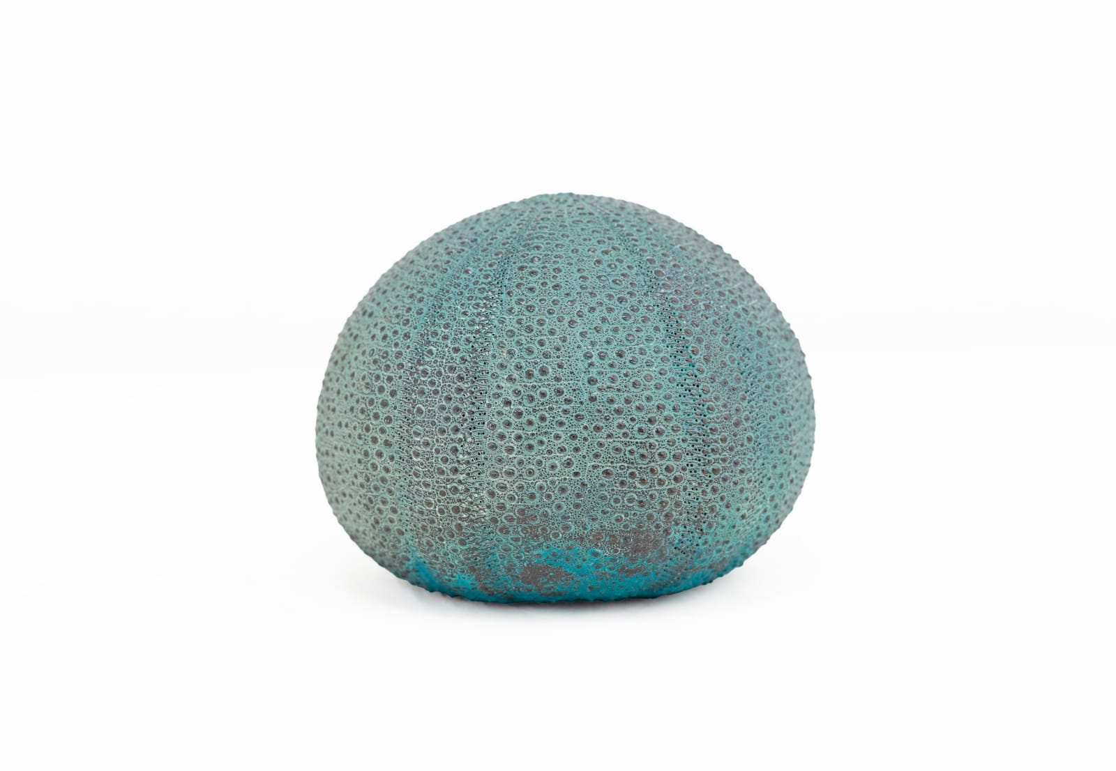 Sara Ross, Sea Urchin