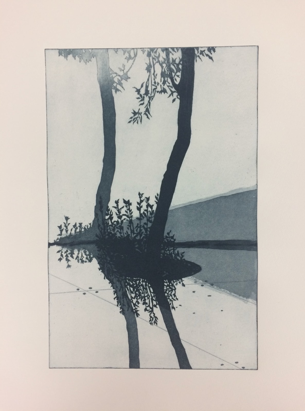 Sally Spens, Biennale Shadows II