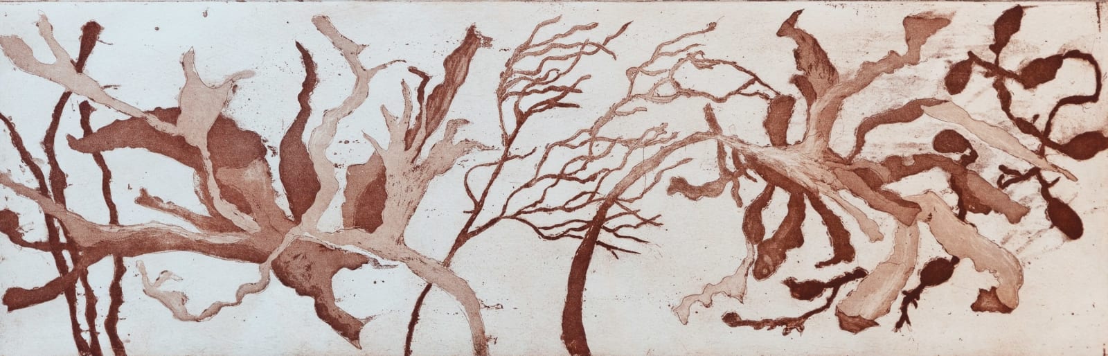 Sarah Seddon, Seaweed found at Porth Joke Beach