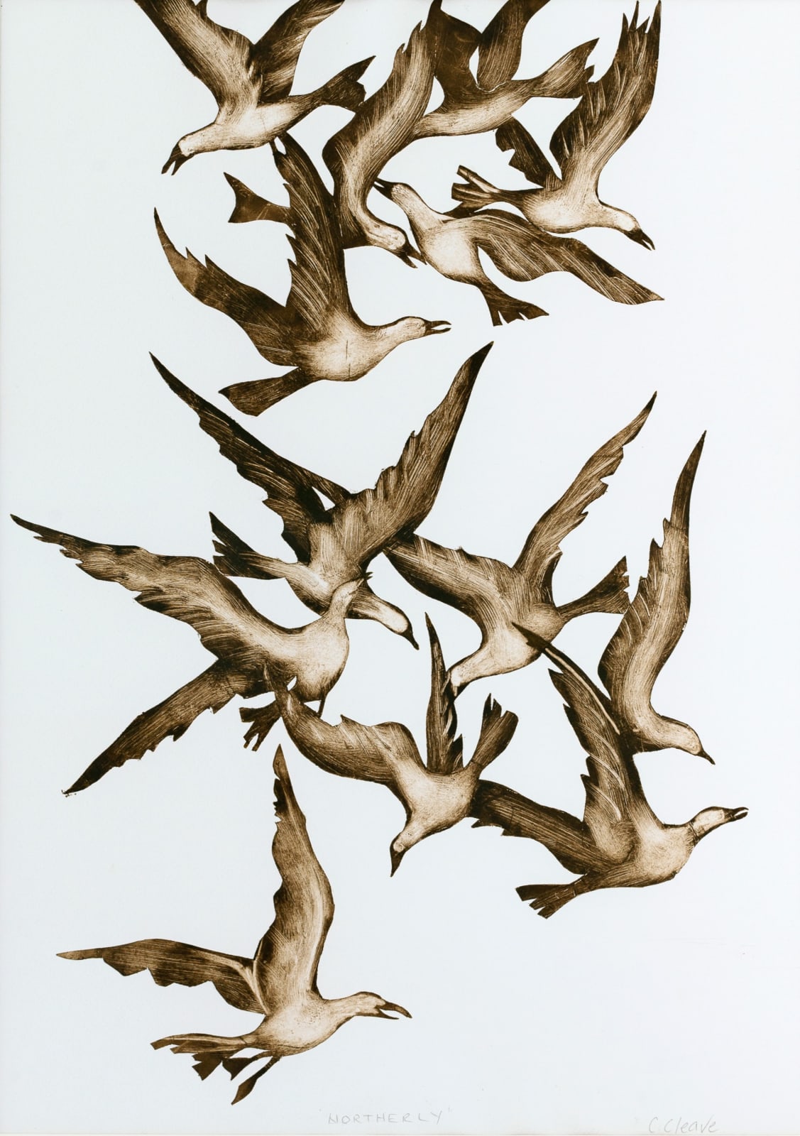 Caroline Cleave, Cry of the Gulls