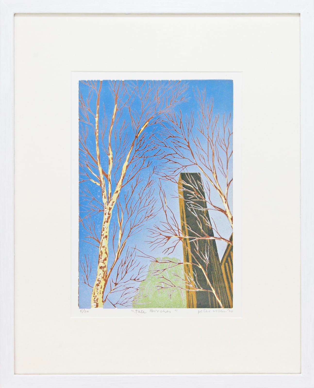 Peter Ursem, Tate Birches