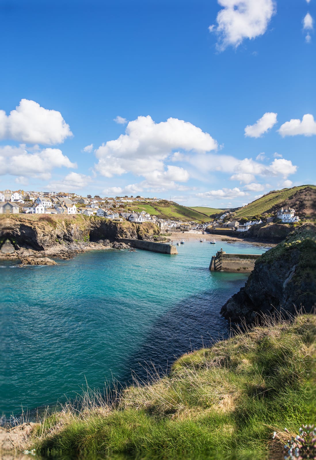Nick Wapshott, Harbour View